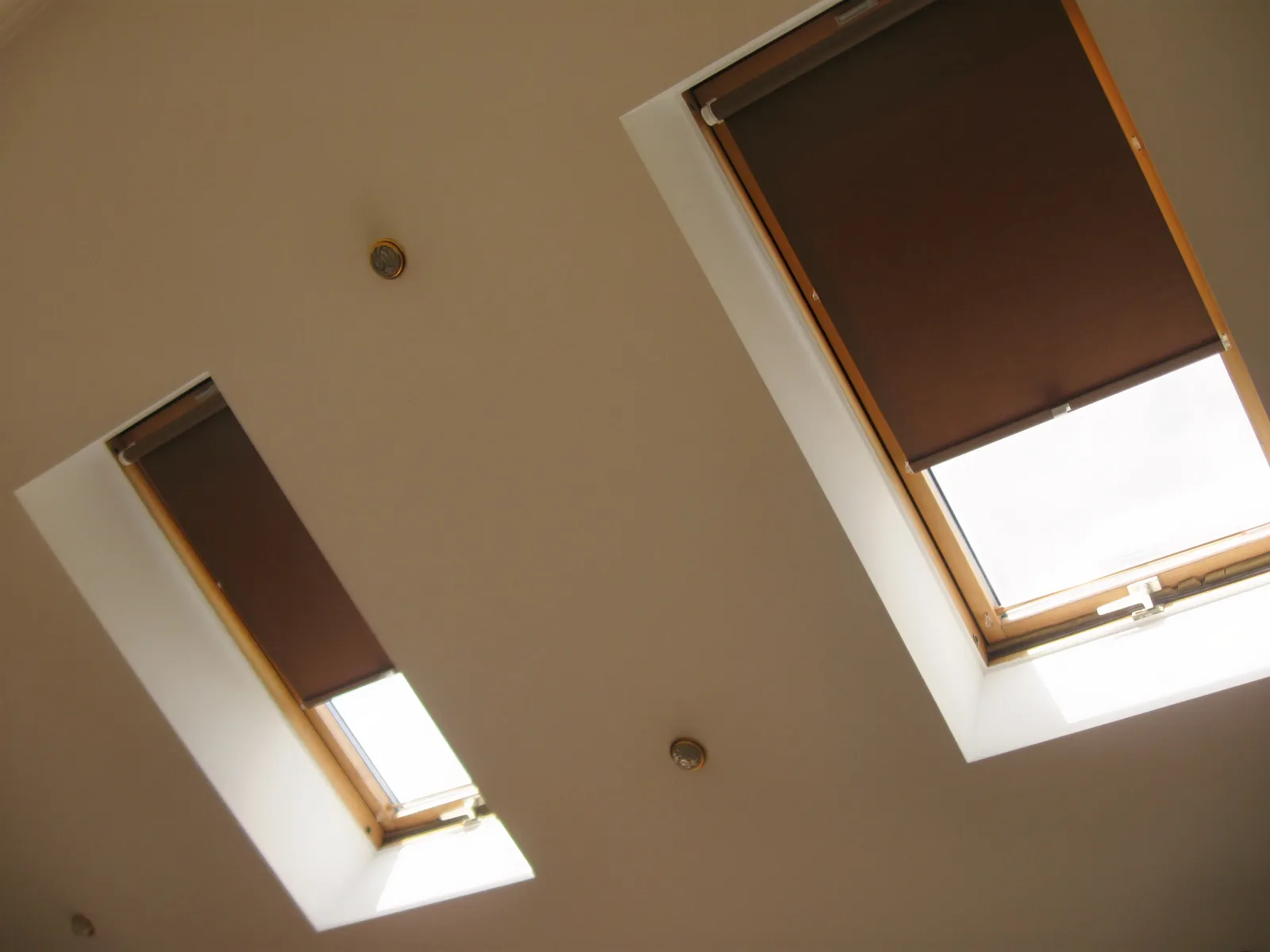a couple of windows