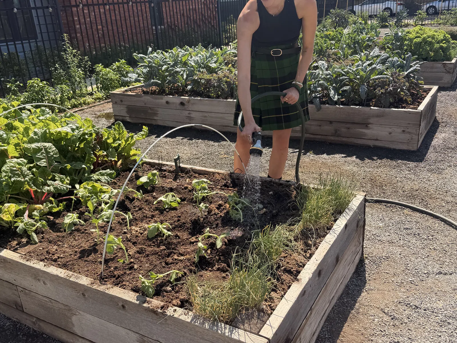 Woman watering plants in a raised wooden garden bed outside on a sunny day near brick building.