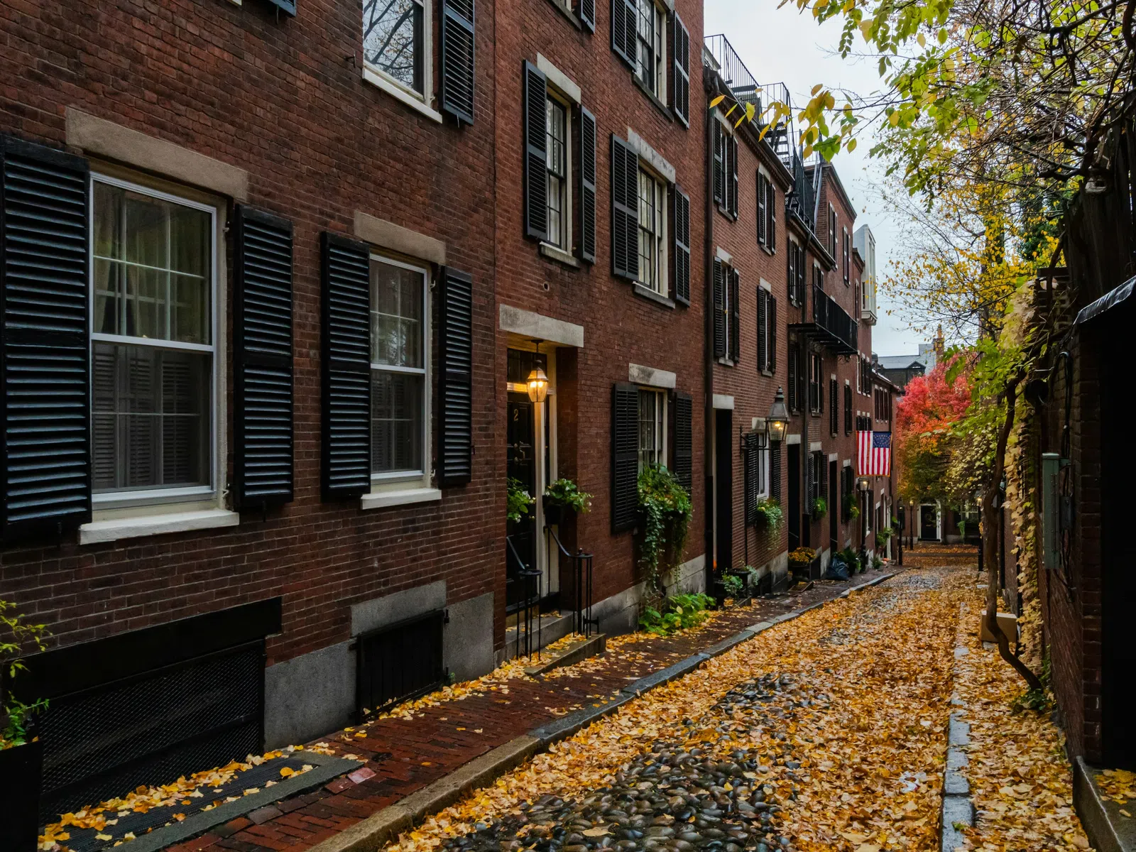 Cobblestone street covered with autumn leaves between brick buildings with black shutters and plants in Boston.