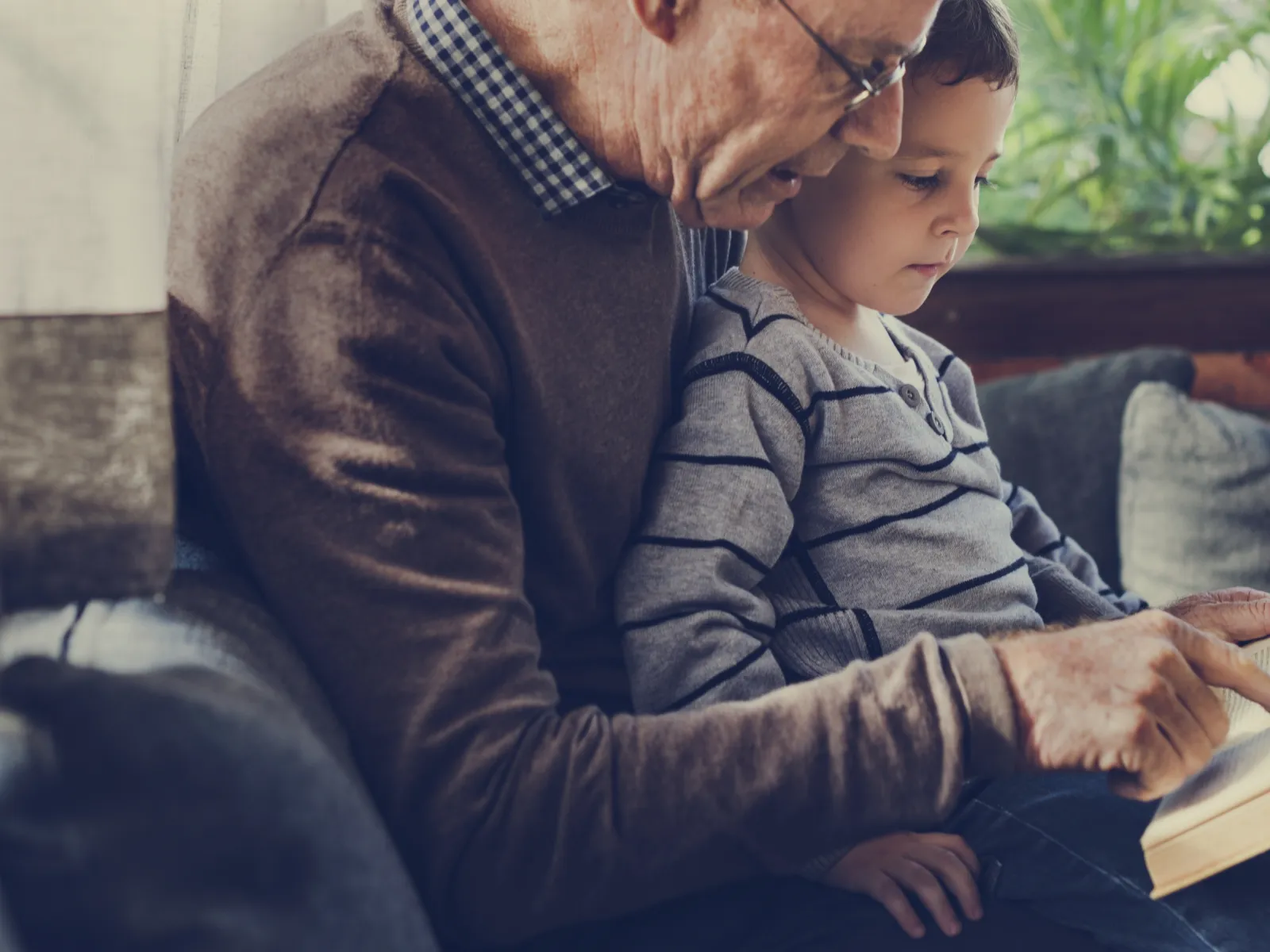 Grandparents get custody of grandchildren