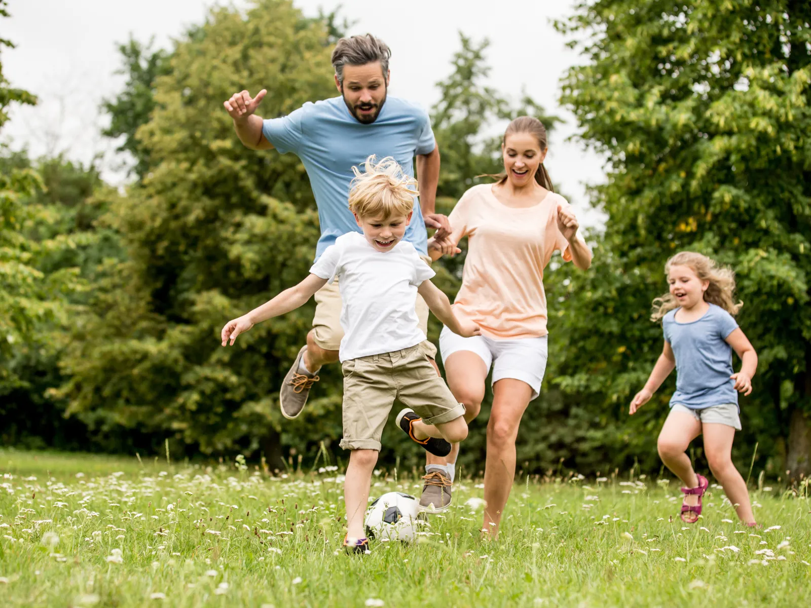 Child support adjustments and deviations to amount.