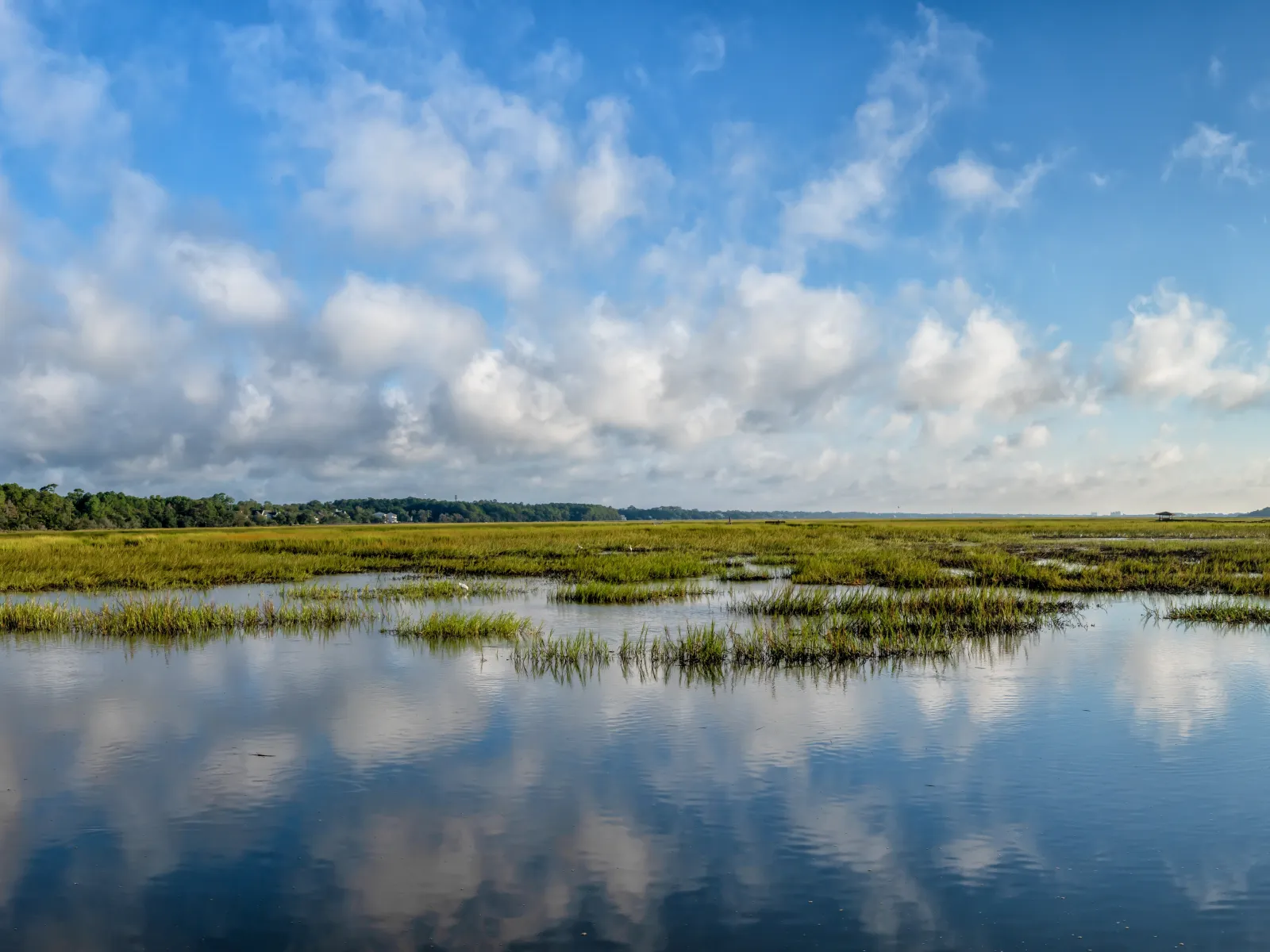 a body of water with grass and trees around it