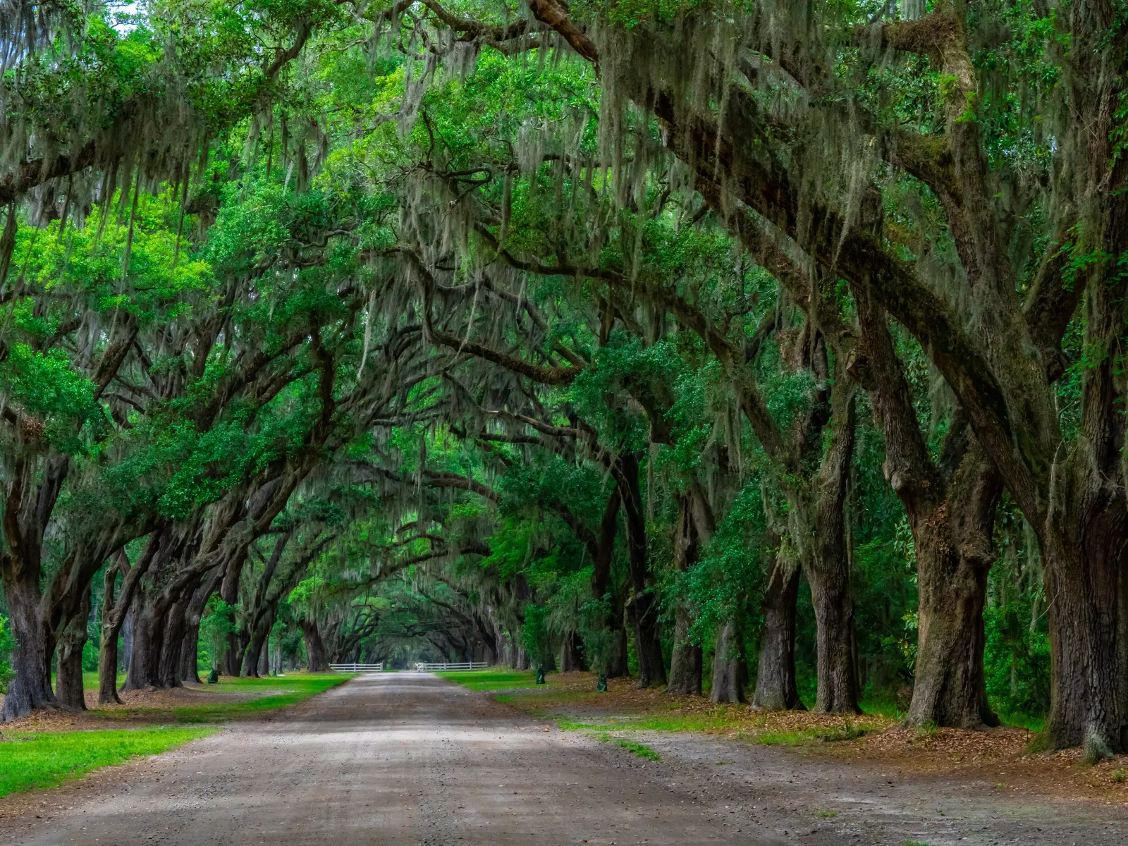 The road the alimony in Savannah Georgia