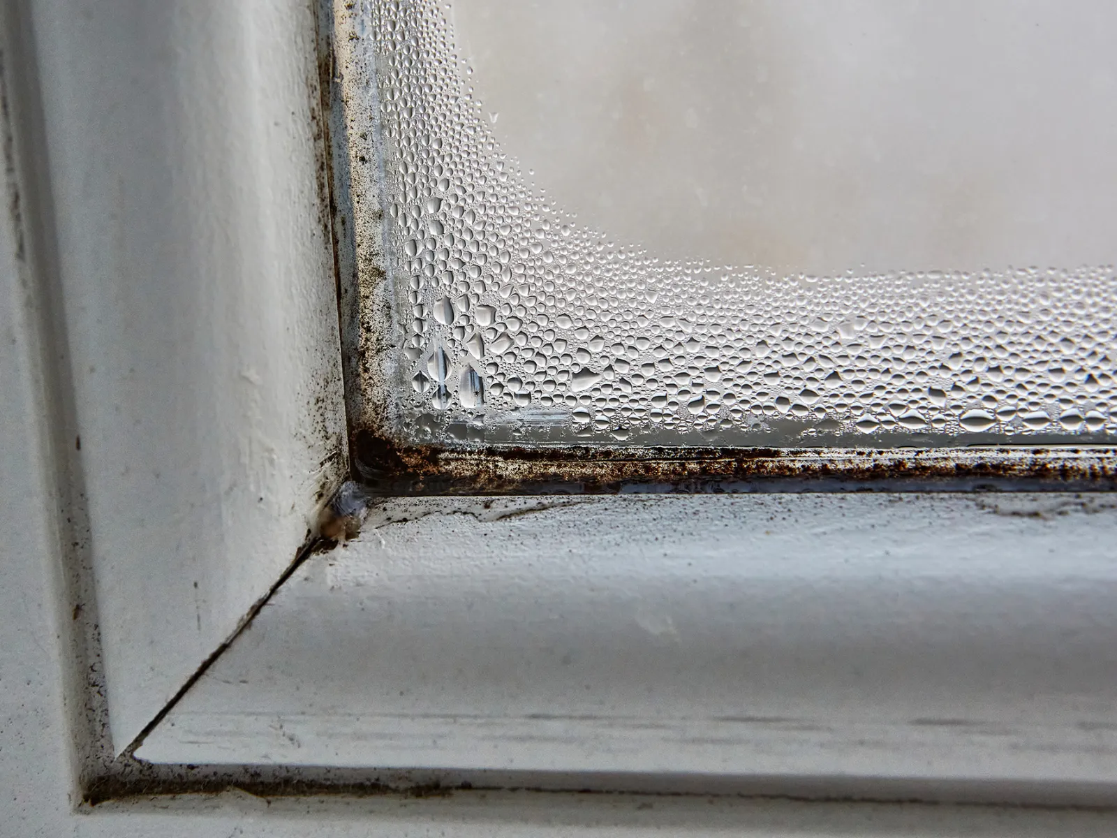 a close up of a wall