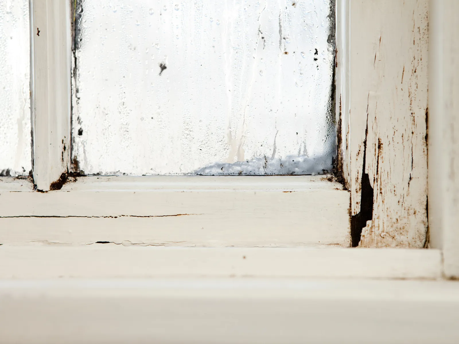 A white window frame with chipping wood, a sign of dry rot