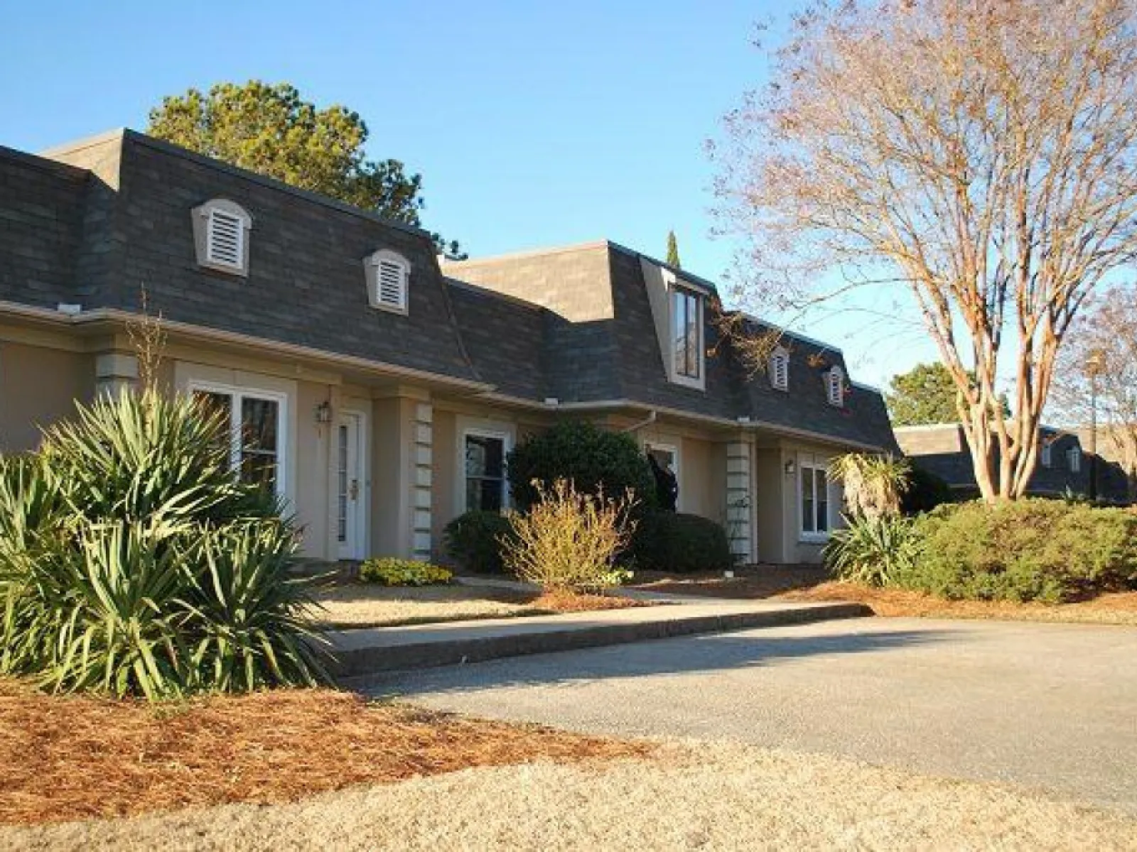 Row of beige townhouses with sloped roofs and landscaped front yards under clear blue sky