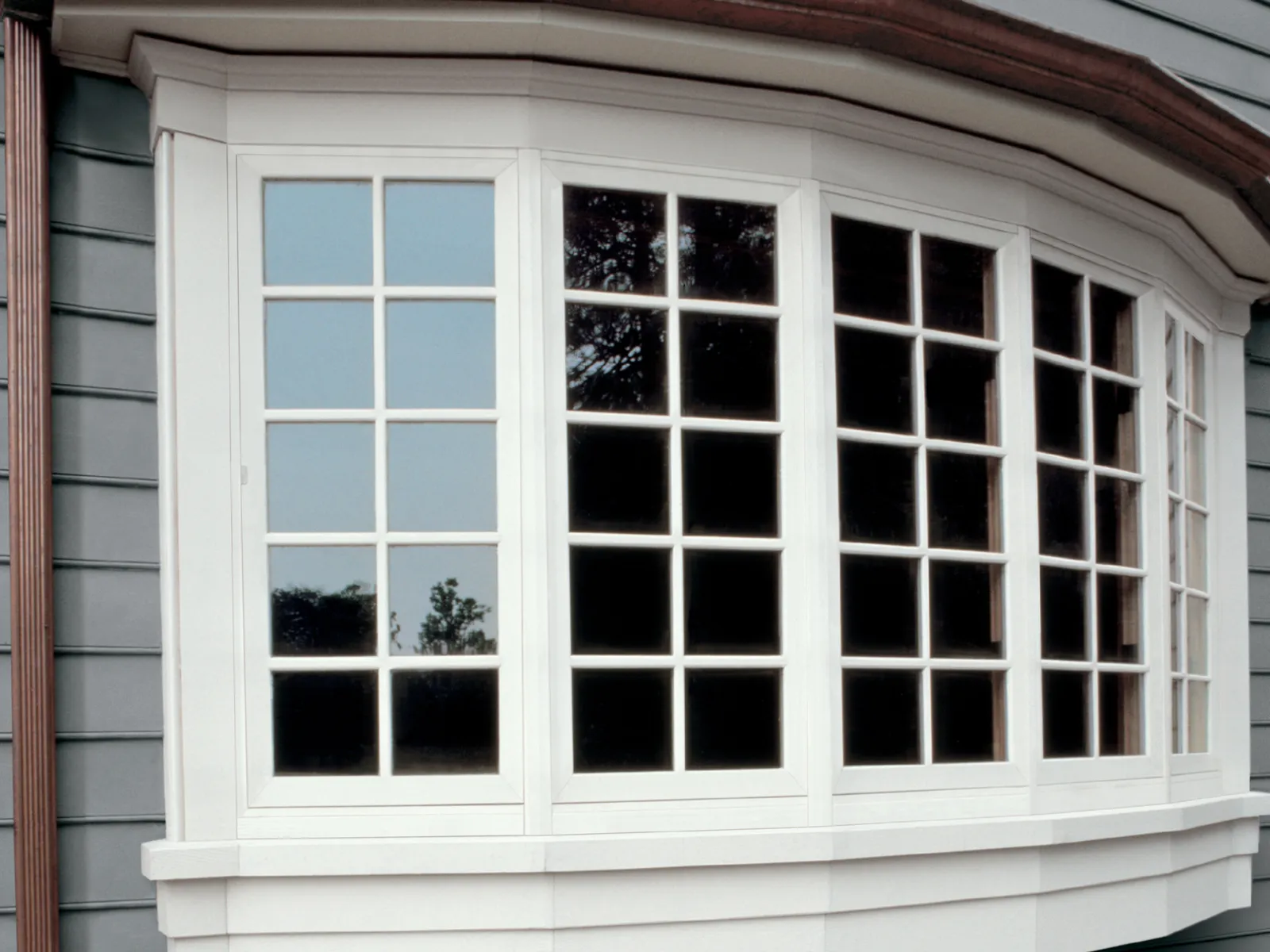a bow window with a tree outside
