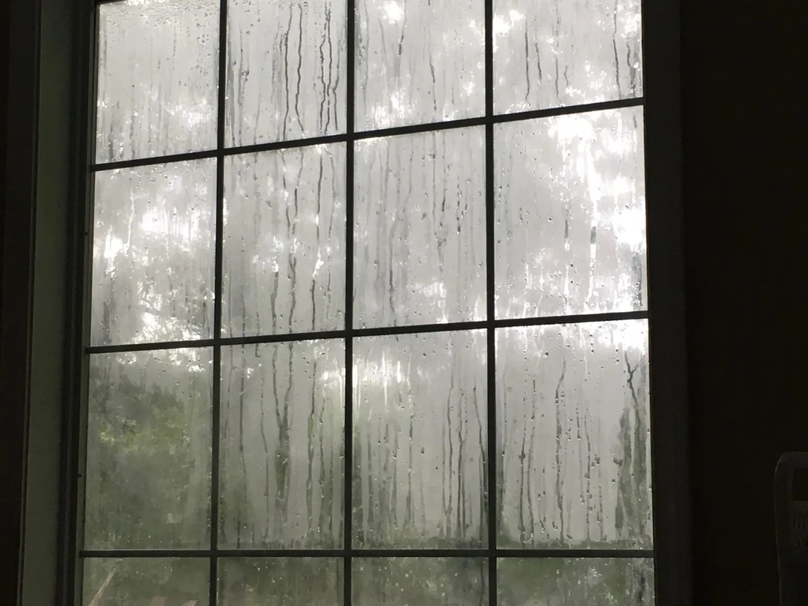 Foggy window caused by window seal failure
