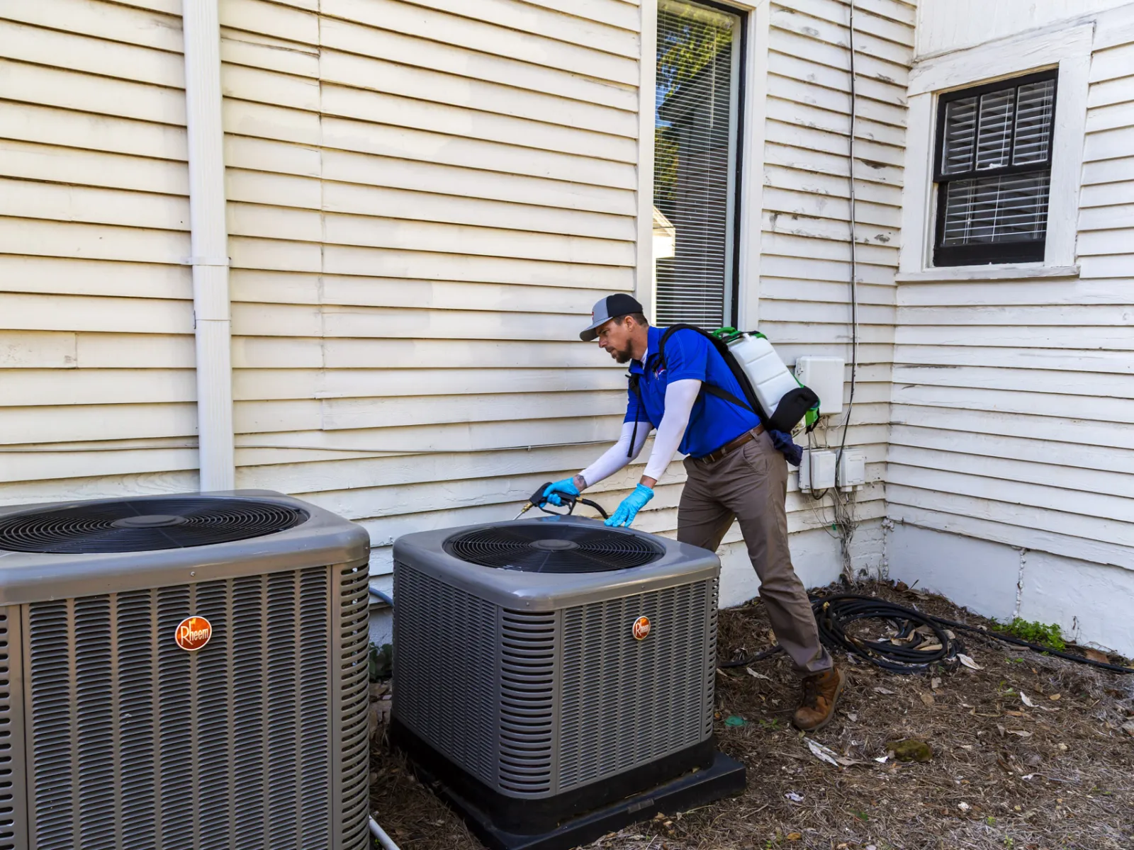 Pest Control Services