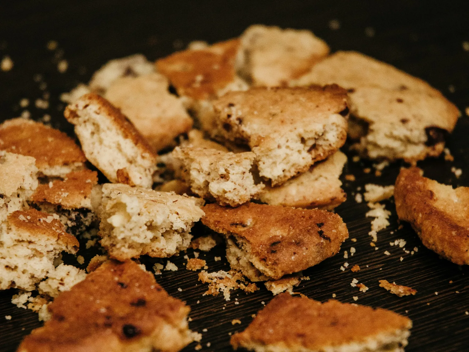 Rodent Pest Control Tips for Homeowners