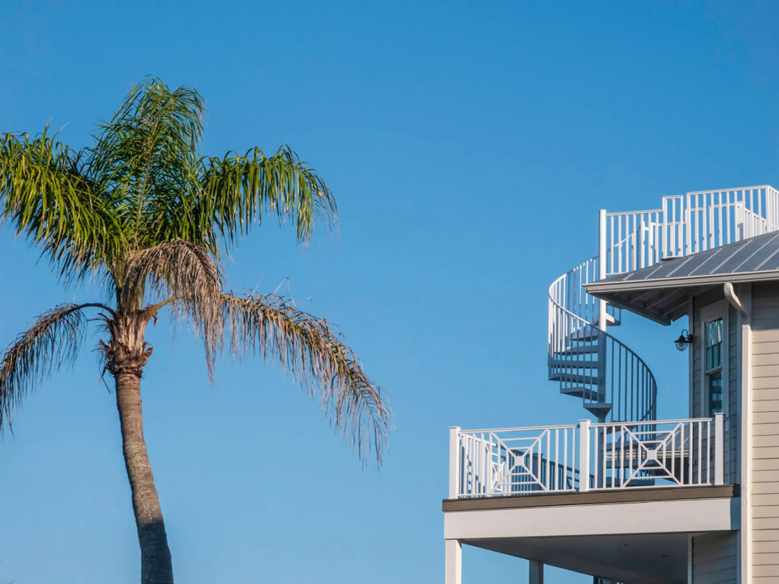 a palm tree and a house