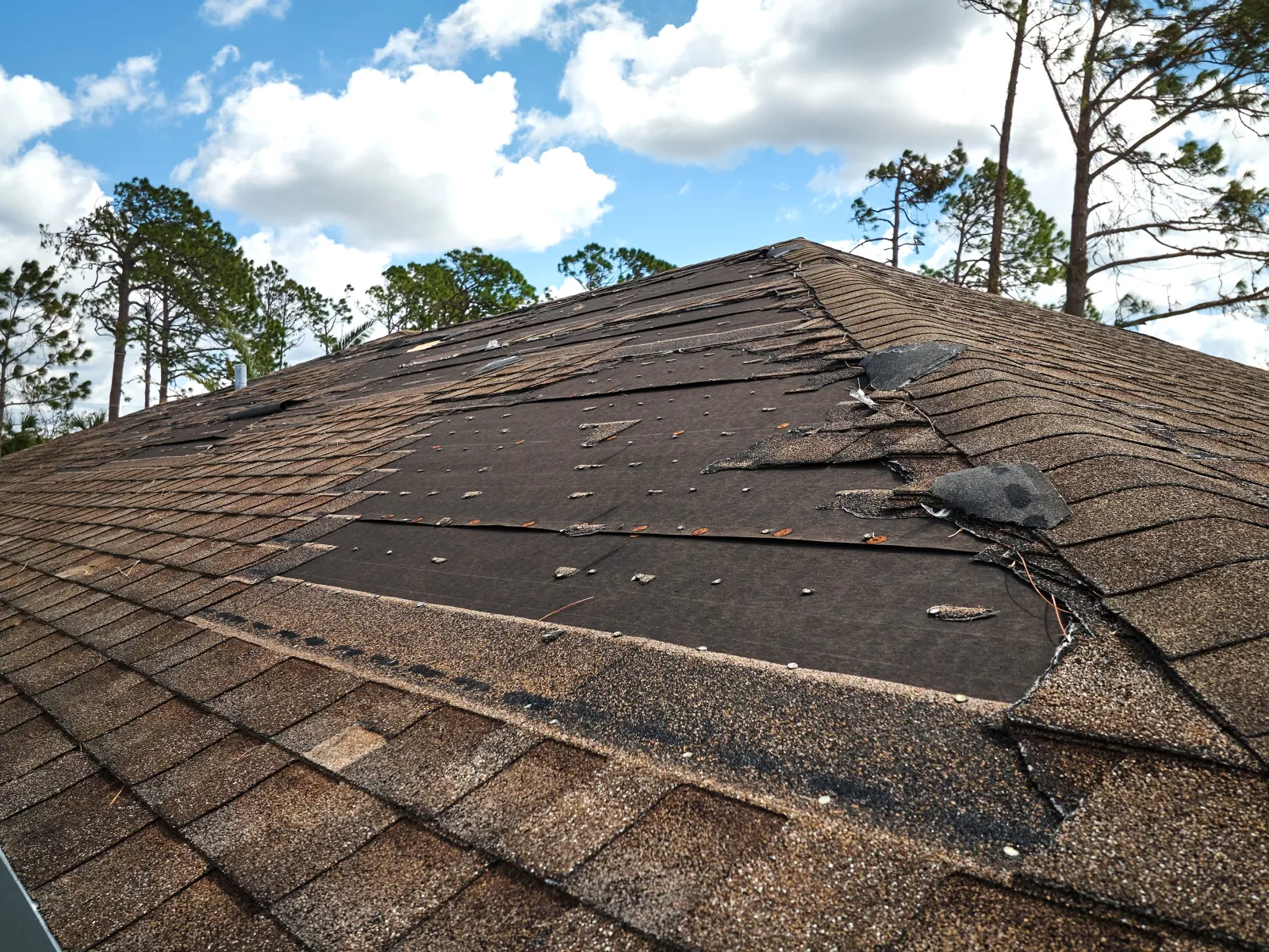 roof with storm damage