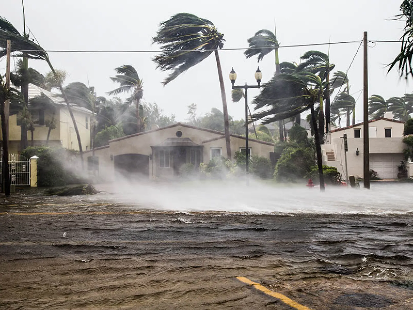 hurricane winds blowing in florida
