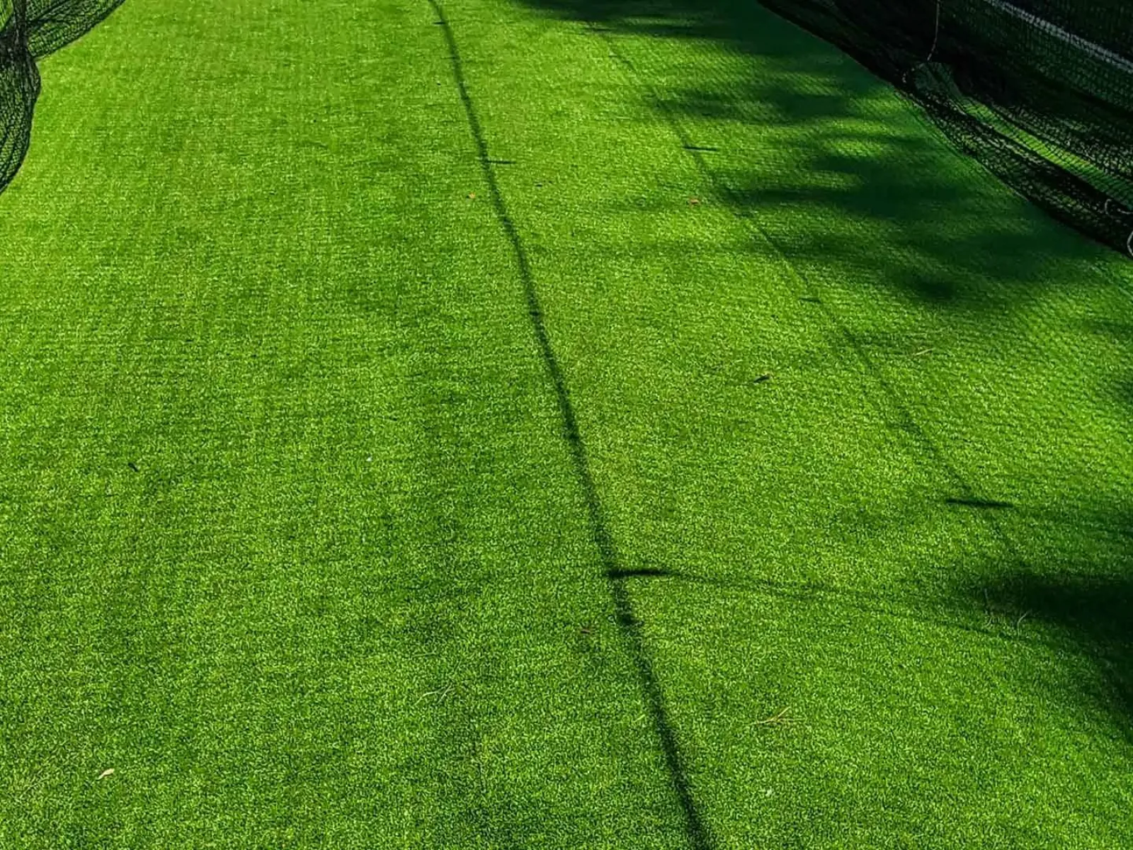 a close-up of a green field