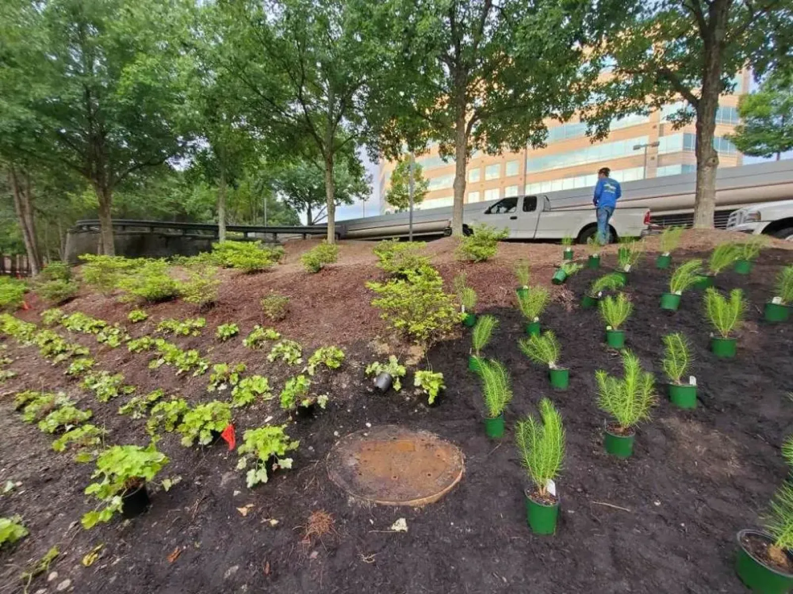 a person walking in a garden