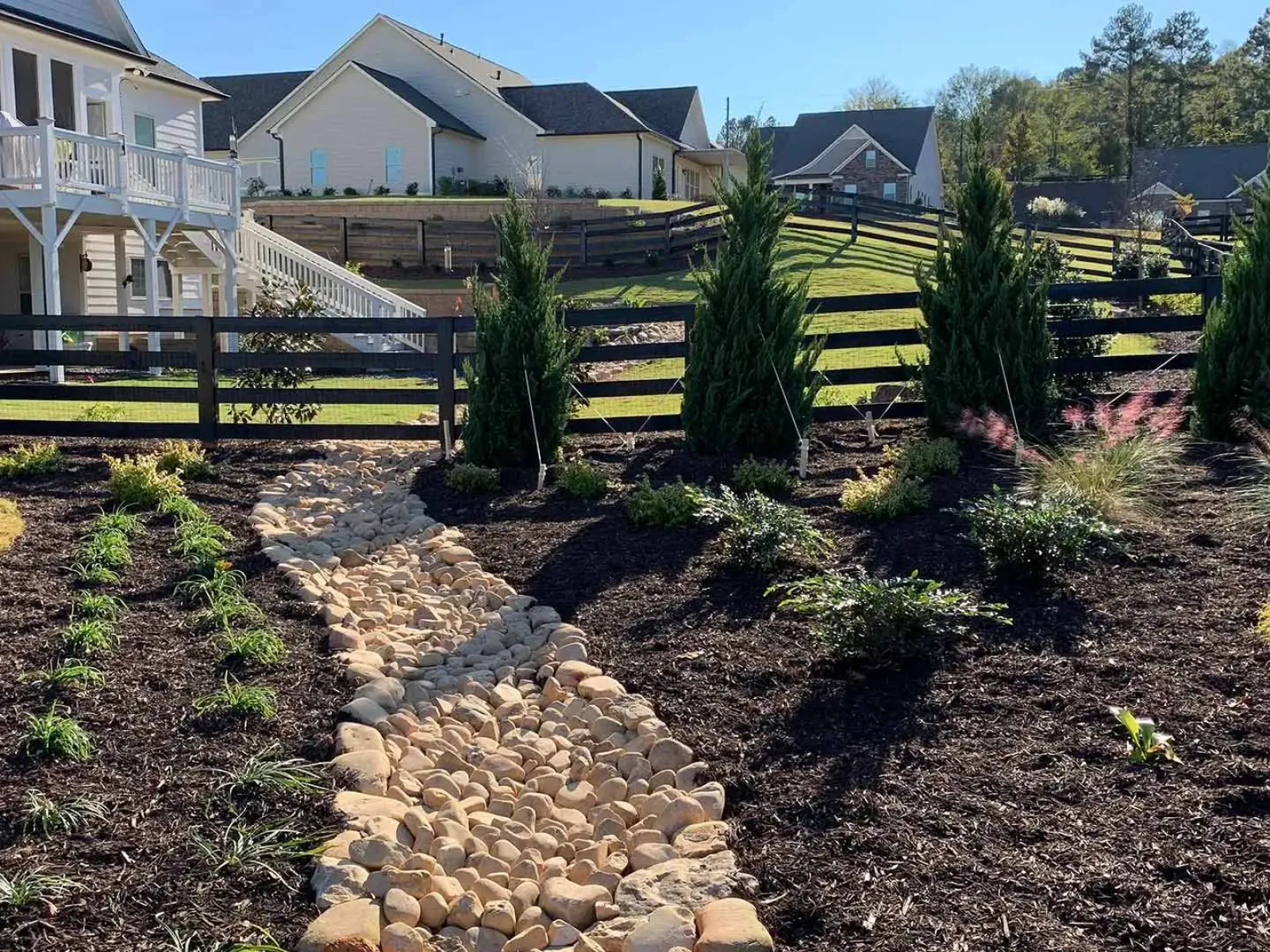 a garden in a backyard