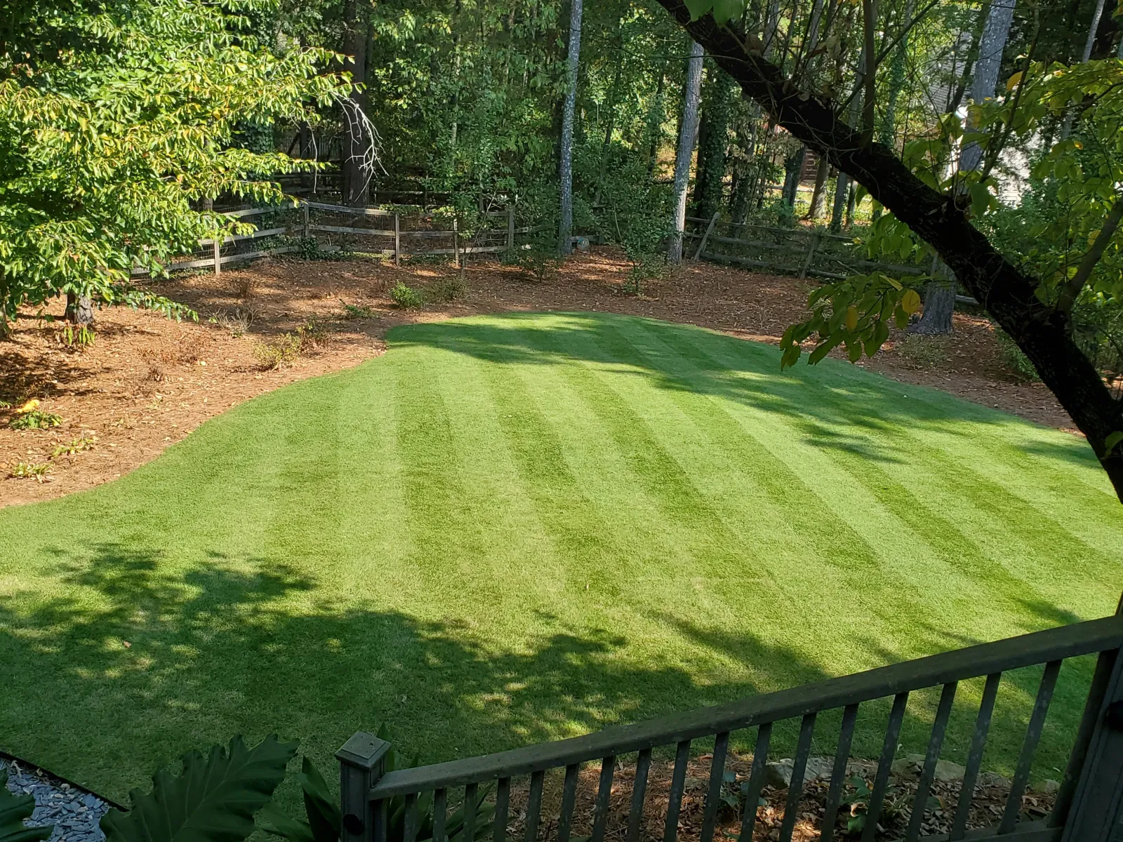 a large green lawn