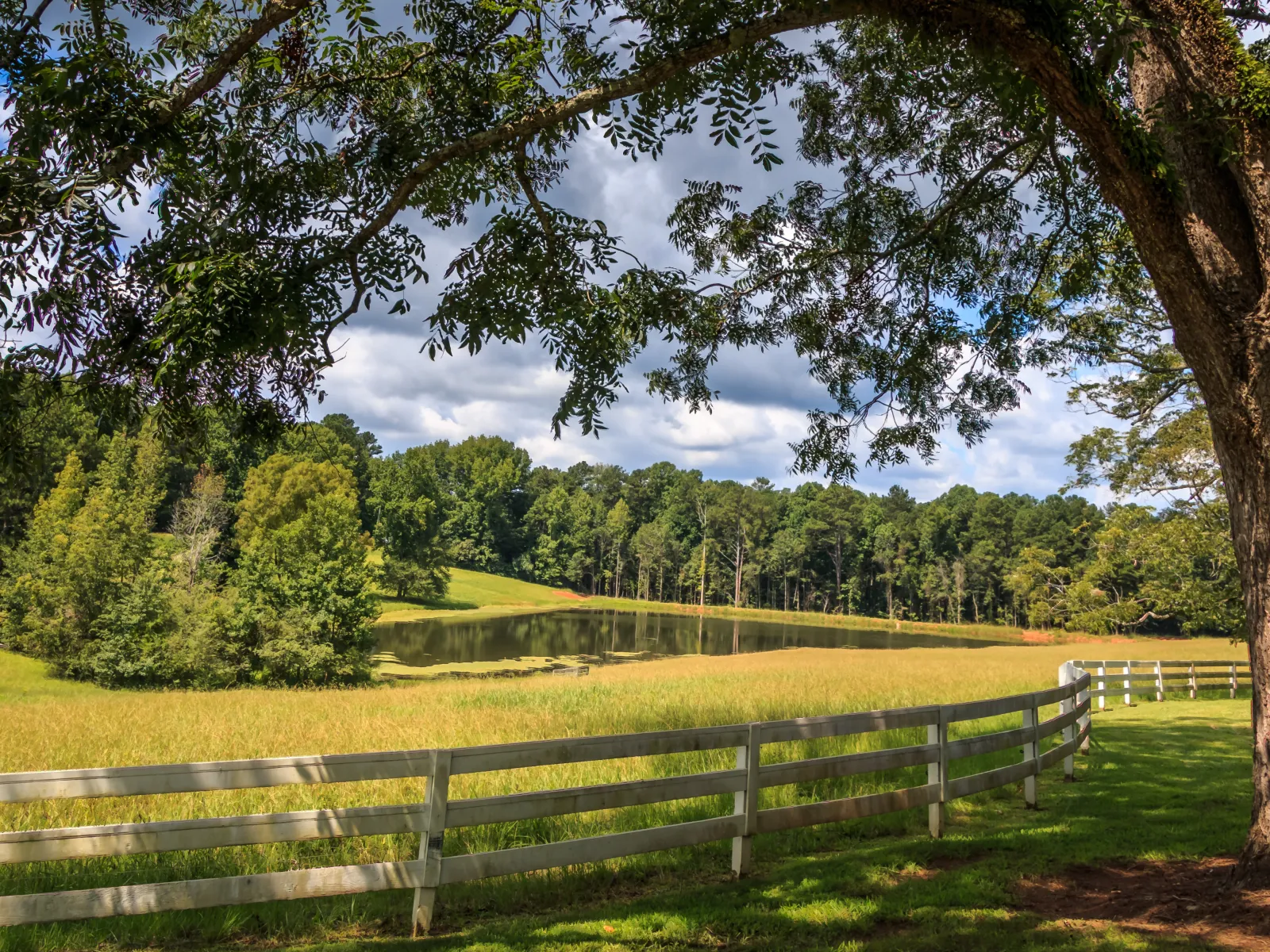 a fence in a field