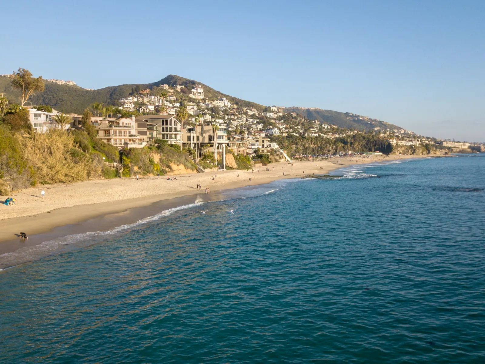 a beach with houses and trees