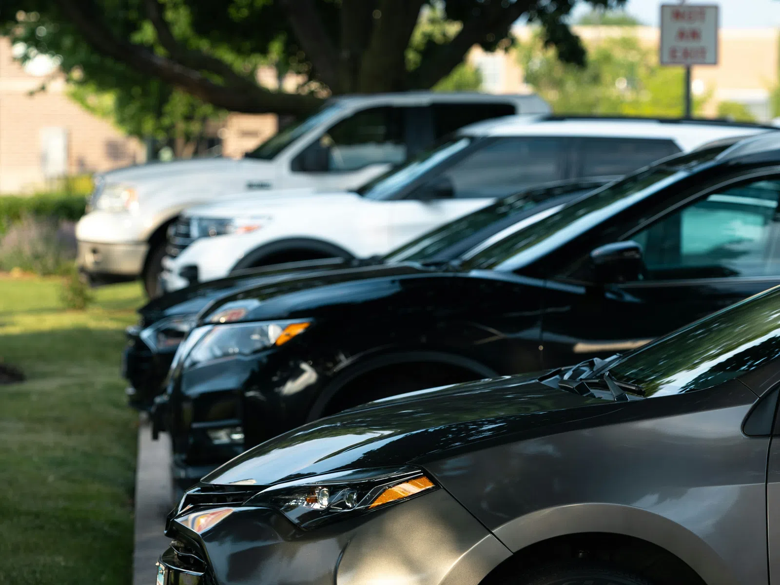 Row of parked cars in a shaded outdoor parking lot with trees and buildings in the background