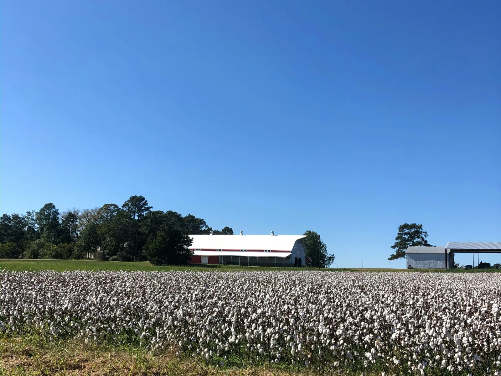 Pest Control, Residential and Commercial Pest Control in Marshville, Marshville Pest Services, Marshville Certified Pest Control Technicians, Marshville Exterminator, Marshville Pest Inspections