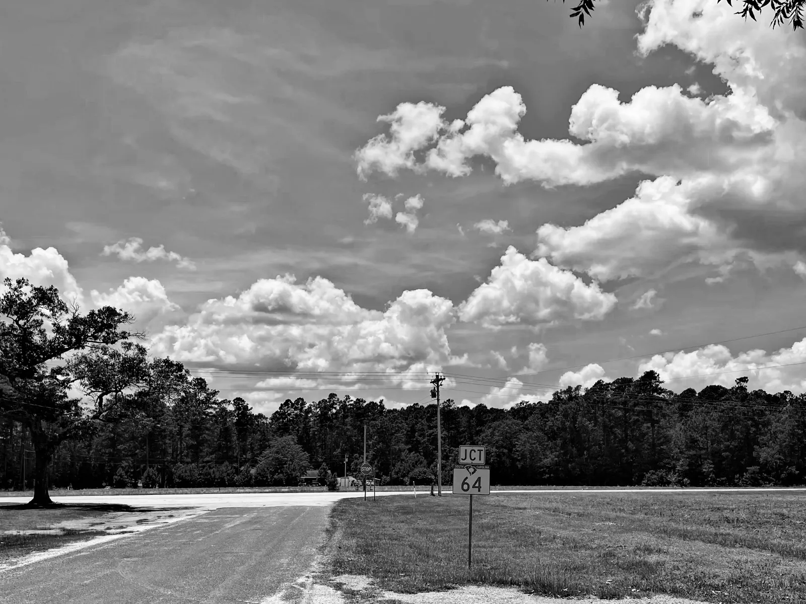 Pest Control, Residential and Commercial Pest Control in Lane, Lane Pest Services, Lane Certified Pest Control Technicians, Lane Exterminator Services, Lane Pest Inspections