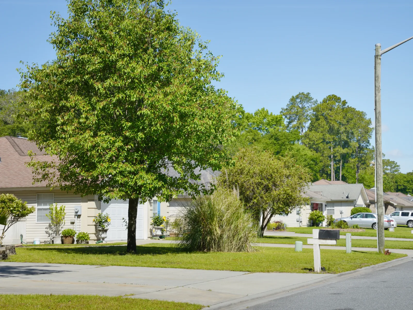 Residential and Commercial Pest Control in Good Hope, Good Hope Pest Services, Good Hope Certified Pest Control Technicians, Good Hope Exterminator, Good Hope Pest Inspections
