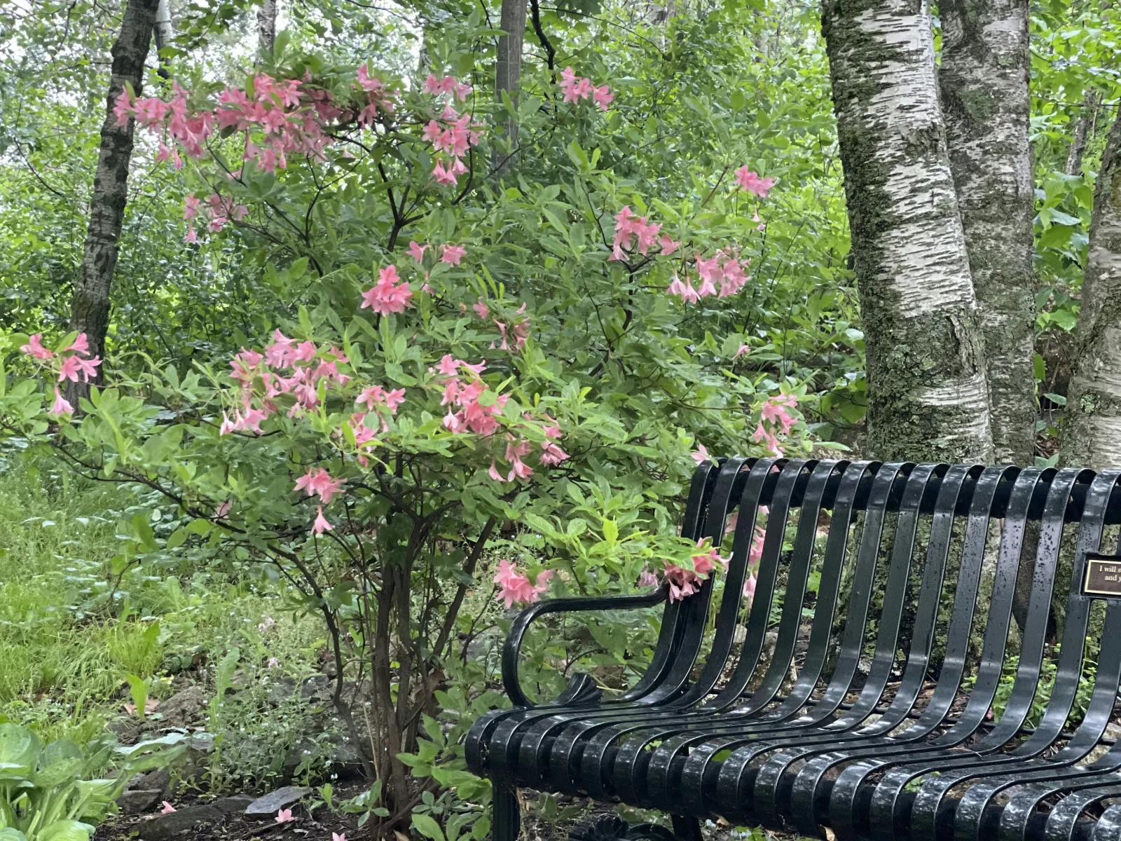 Park bench in Duluth, GA
