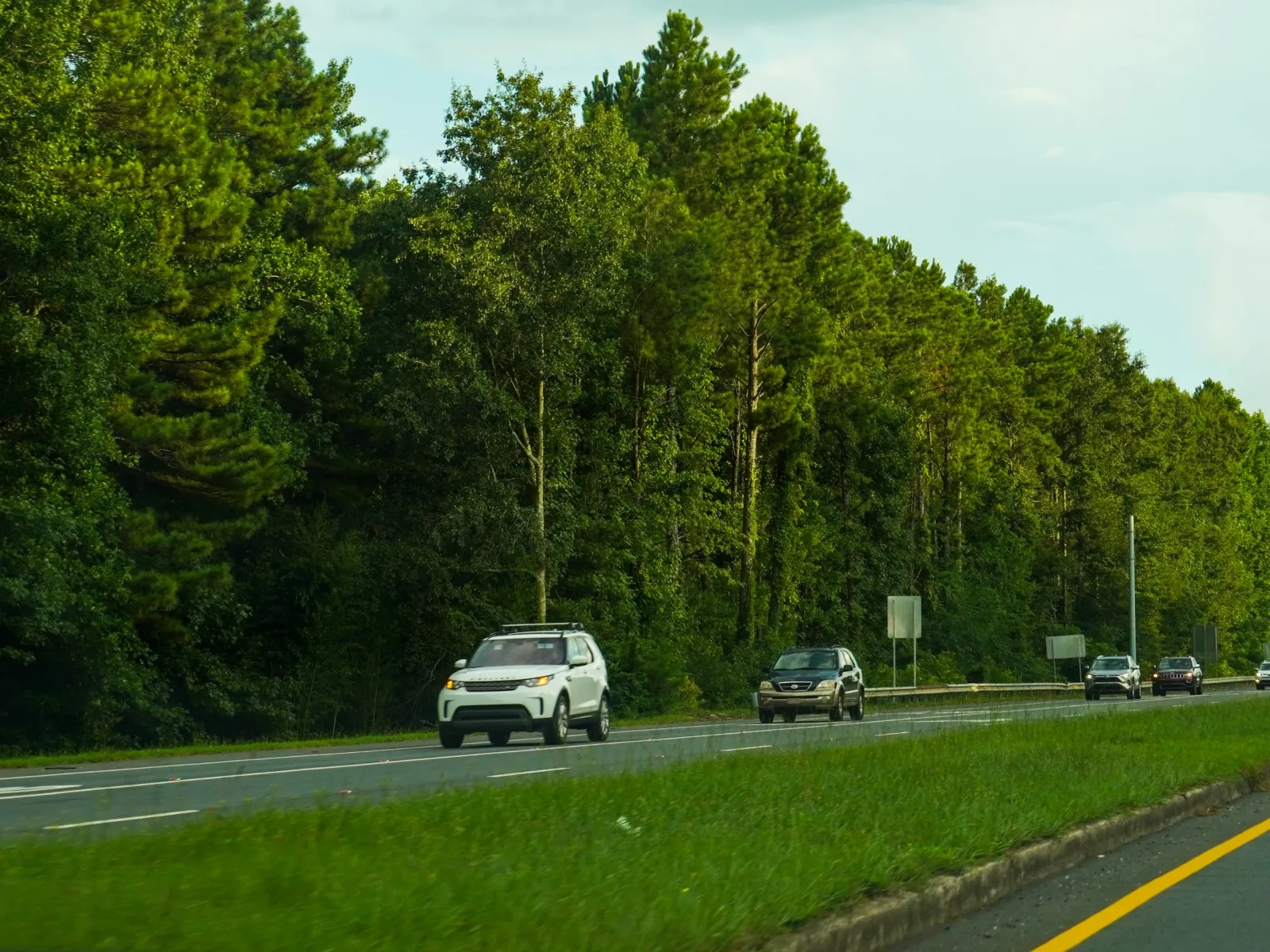 Pest Control, Residential and Commercial Pest Control in Bessemer City, Bessemer City Pest Services, Bessemer City Certified Pest Control Technicians, Bessemer City Exterminator, Bessemer City Pest Inspections, Serving Bessemer City ZIP Code 28016