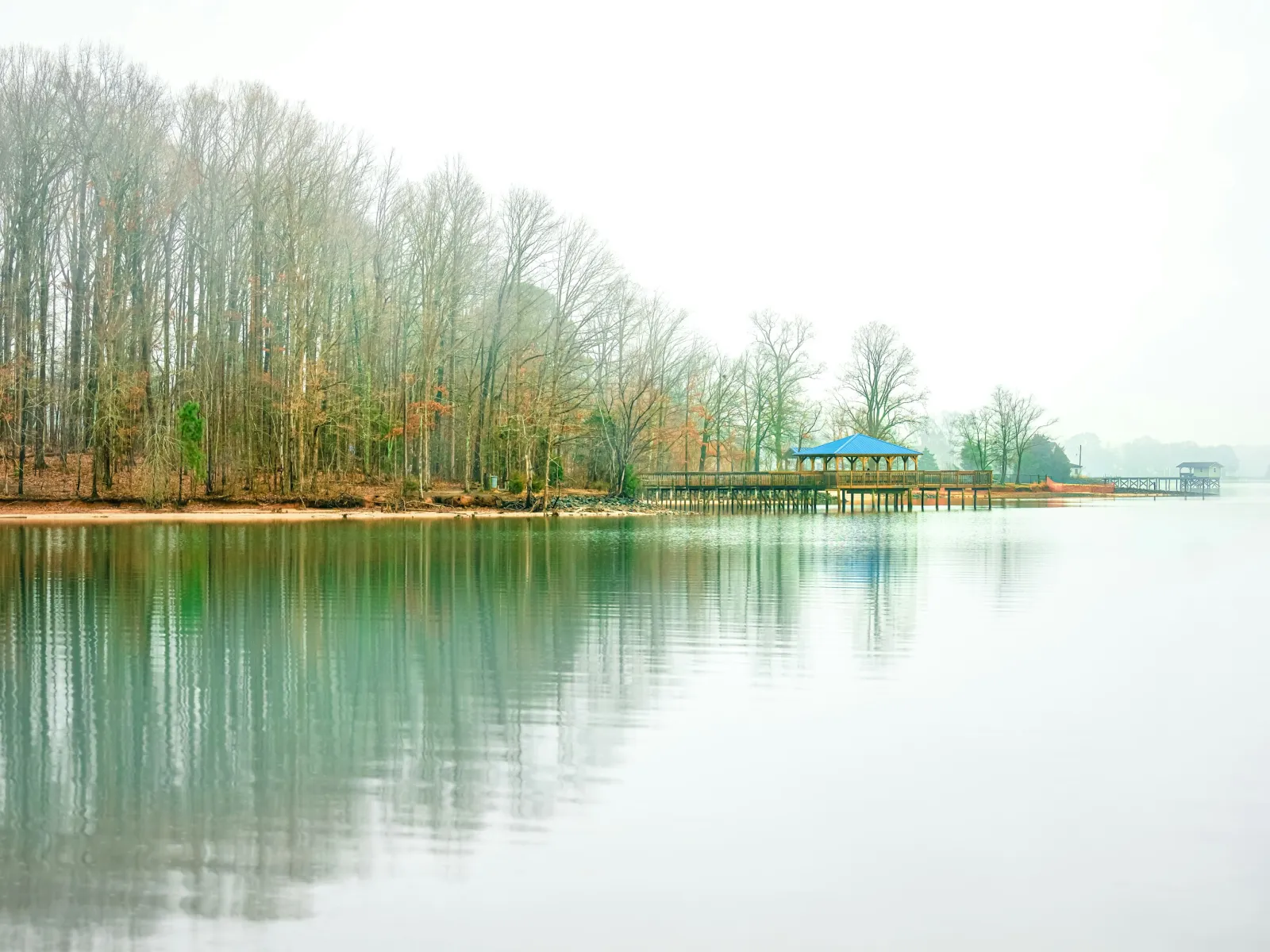 Residential and Commercial Pest Control in Cornelius, Cornelius Pest Services, Cornelius Certified Pest Control Technicians, Cornelius Exterminator, Cornelius Pest Inspections.