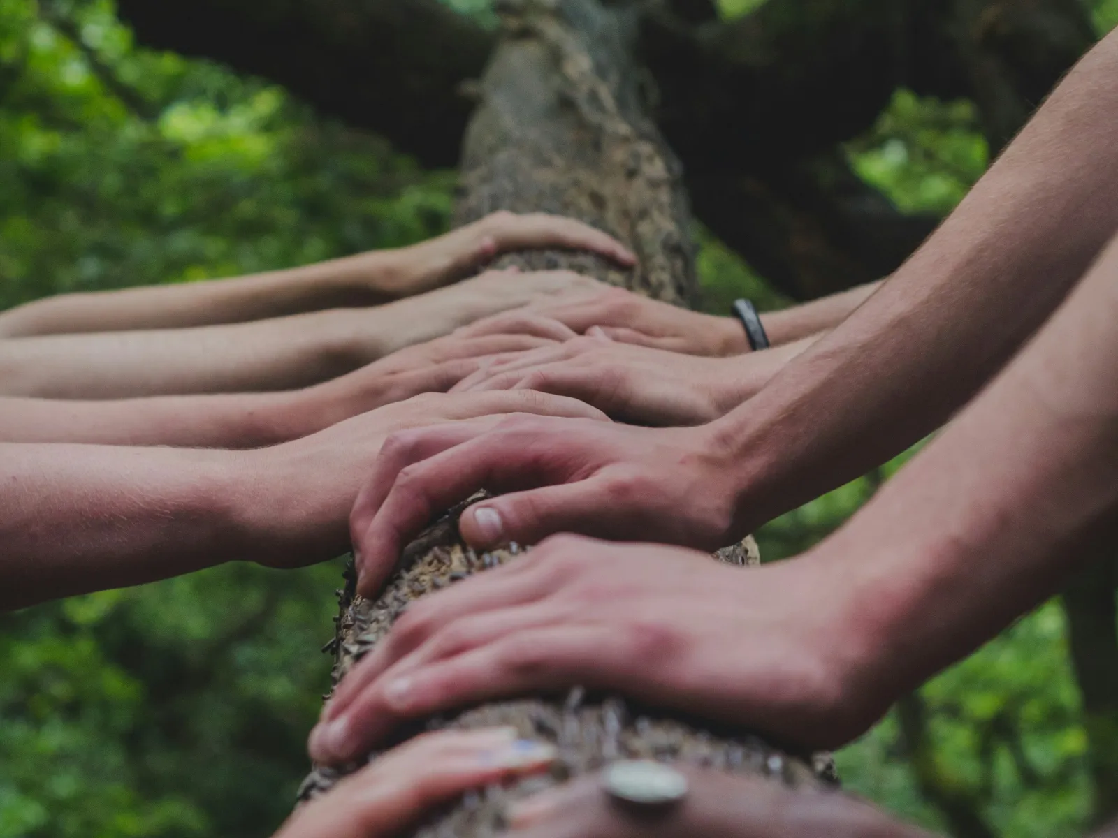 a group of hands holding a small round object