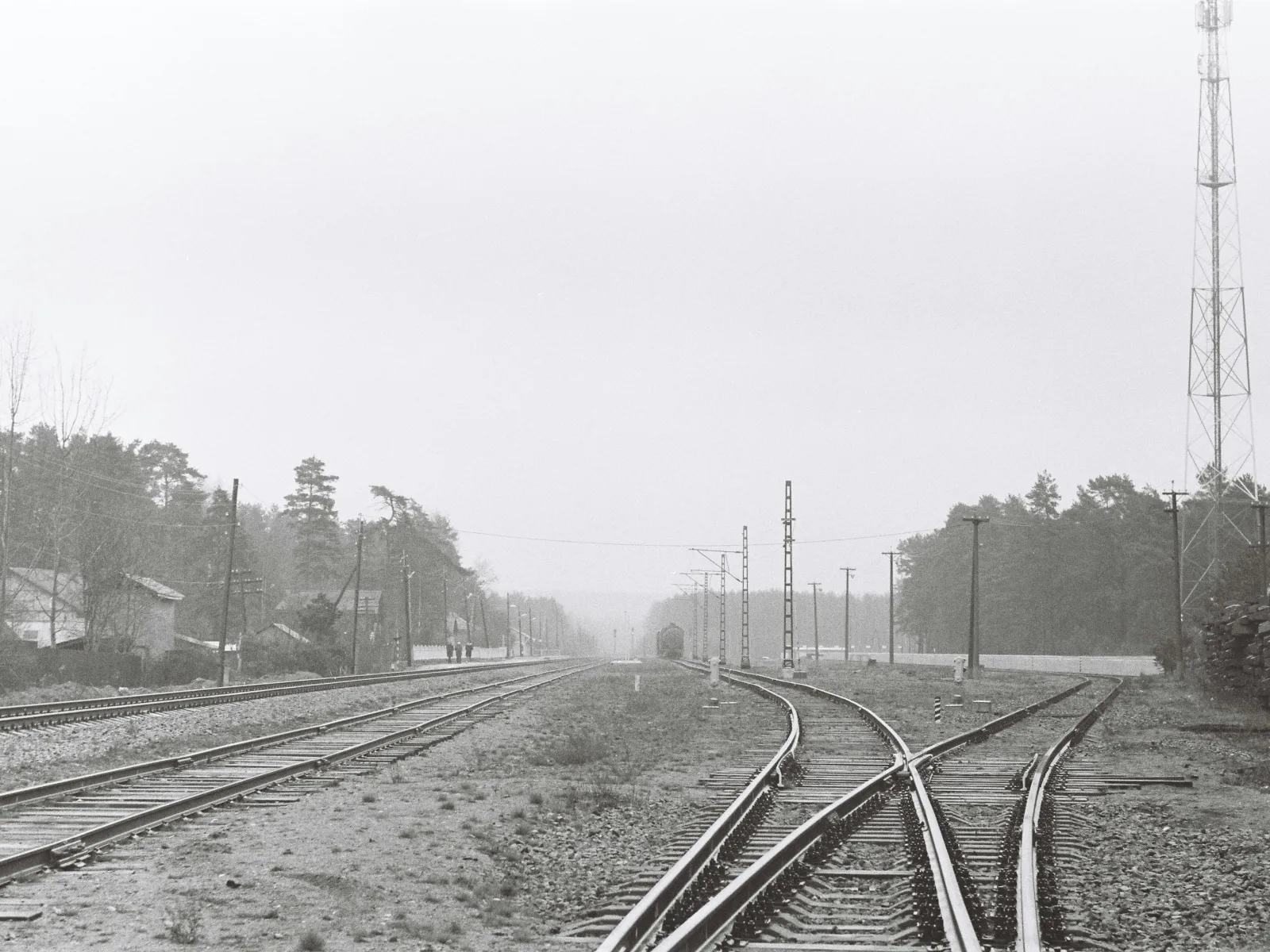 Pest Control, Residential and Commercial Pest Control in Clover, Clover Pest Services, Clover Certified Pest Control Technicians, Clover Exterminator, Clover Pest Inspections, Pest Control in 29710