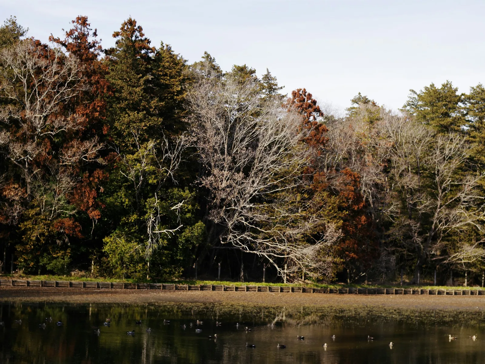 Pest Control, Residential and Commercial Pest Control in Conover, Conover Pest Services, Conover Certified Pest Control Technicians, Conover Exterminator, Conover Pest Inspections, Serving Conover ZIP Code 28613
