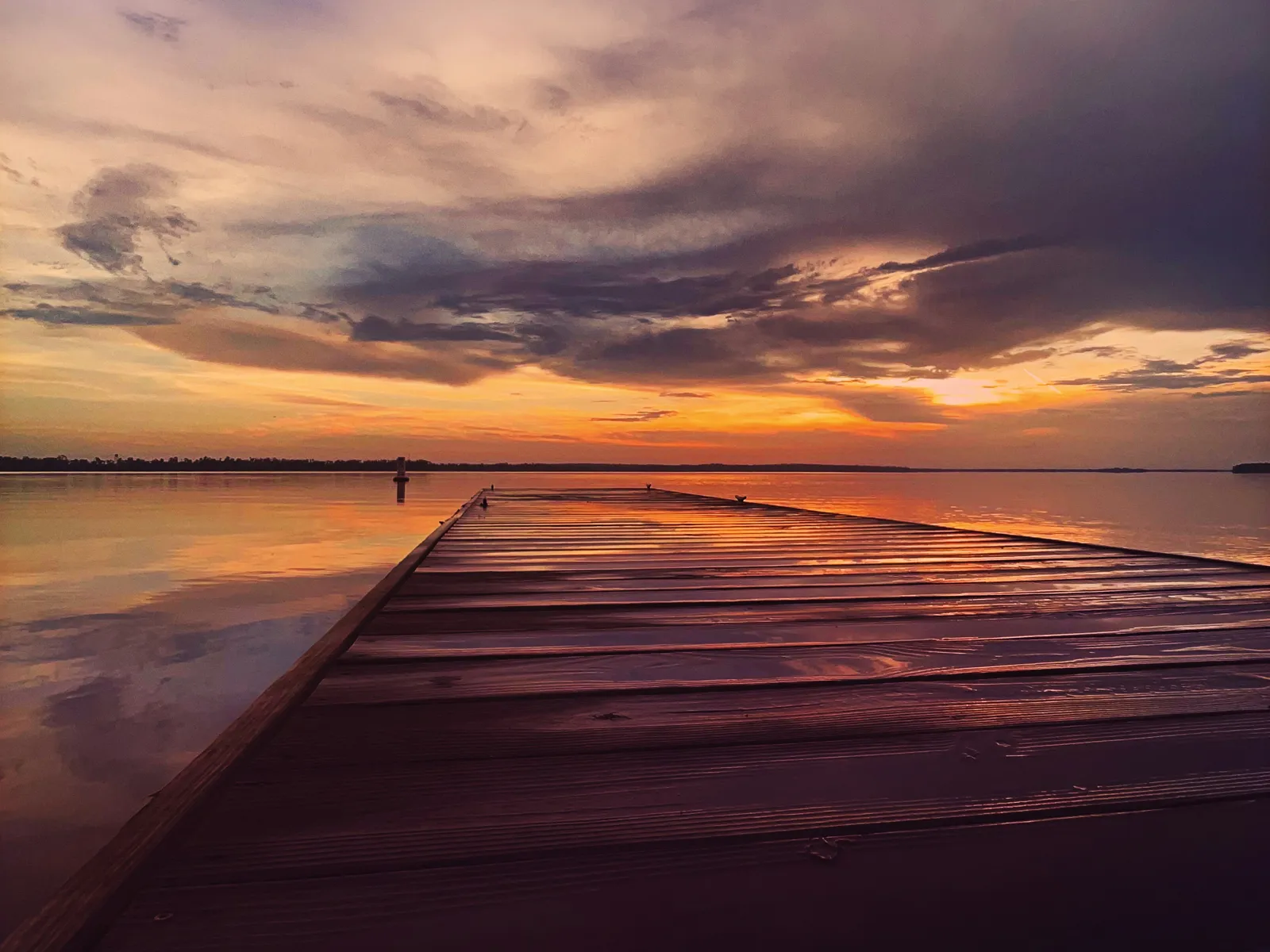 Pest Control, Residential and Commercial Pest Control in Geneva, Geneva Pest Management Services, Geneva Certified Pest Control Technicians, Geneva Exterminator Services, Geneva Pest Inspections