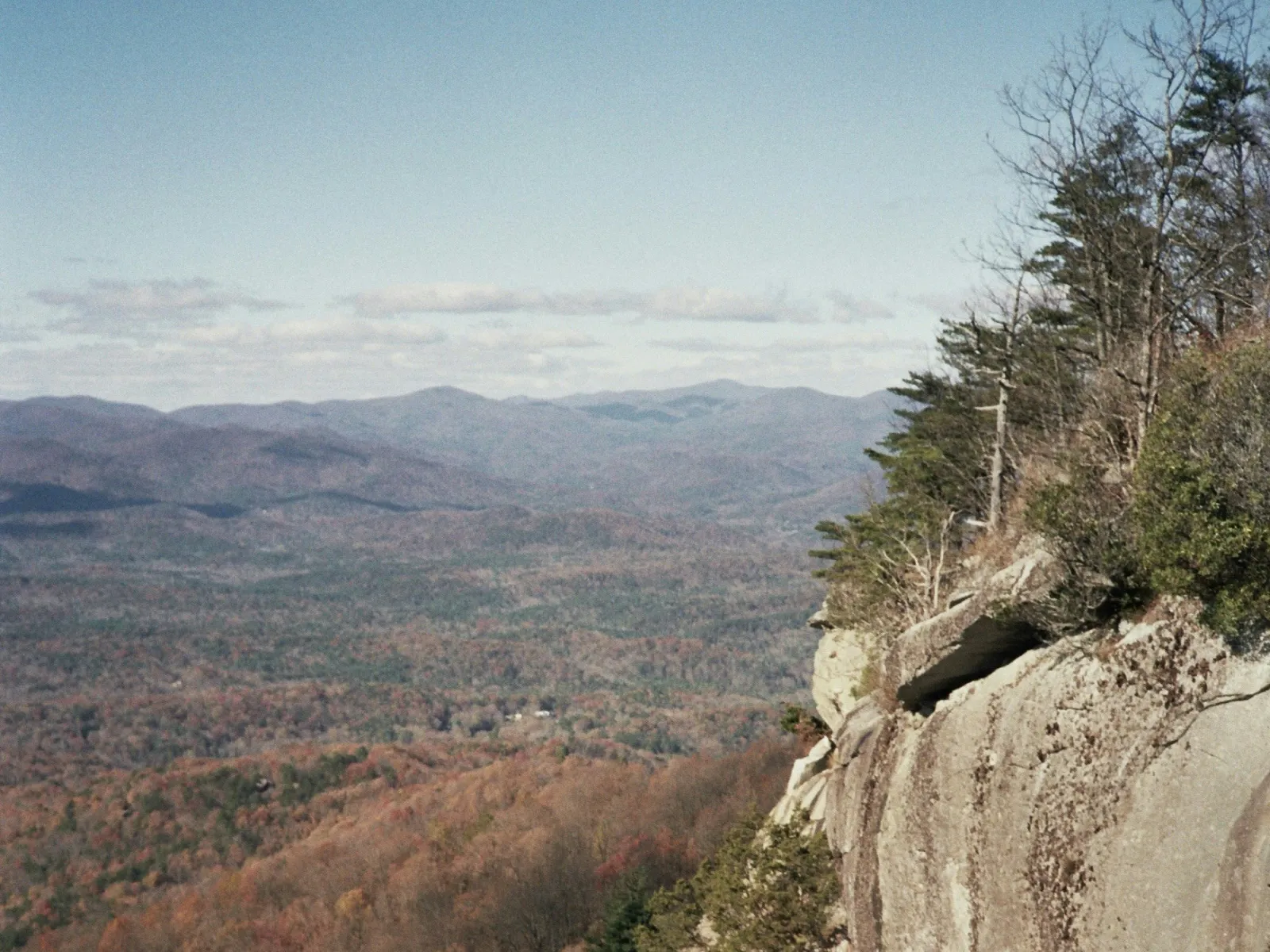 Pest Control, Residential and Commercial Pest Control in Cleveland, Cleveland Pest Services, Cleveland Certified Pest Control Technicians, Cleveland Exterminator, Cleveland Pest Inspections, Serving Cleveland ZIP Code 30528