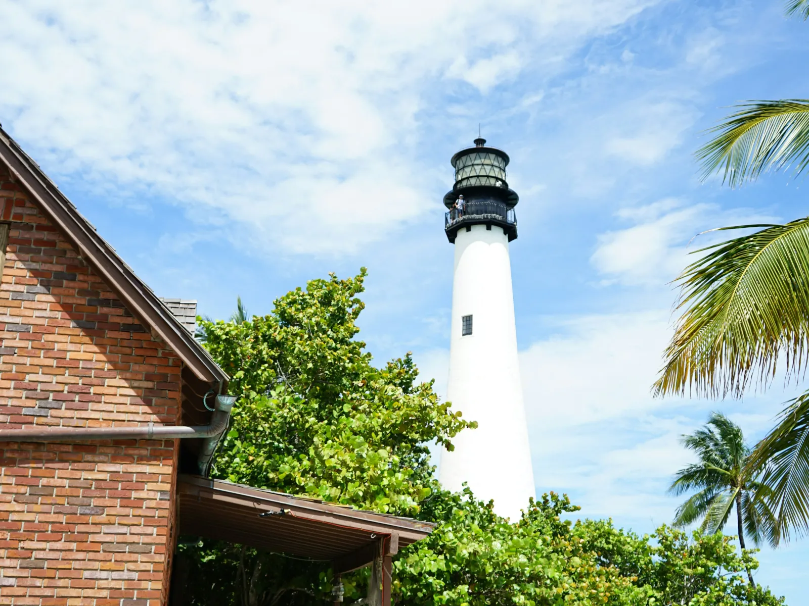 Pest Control, Residential and Commercial Pest Control in Edgewater, Edgewater Pest Management Services, Edgewater Certified Pest Control Technicians, Edgewater Exterminator Services, Edgewater Pest Inspections