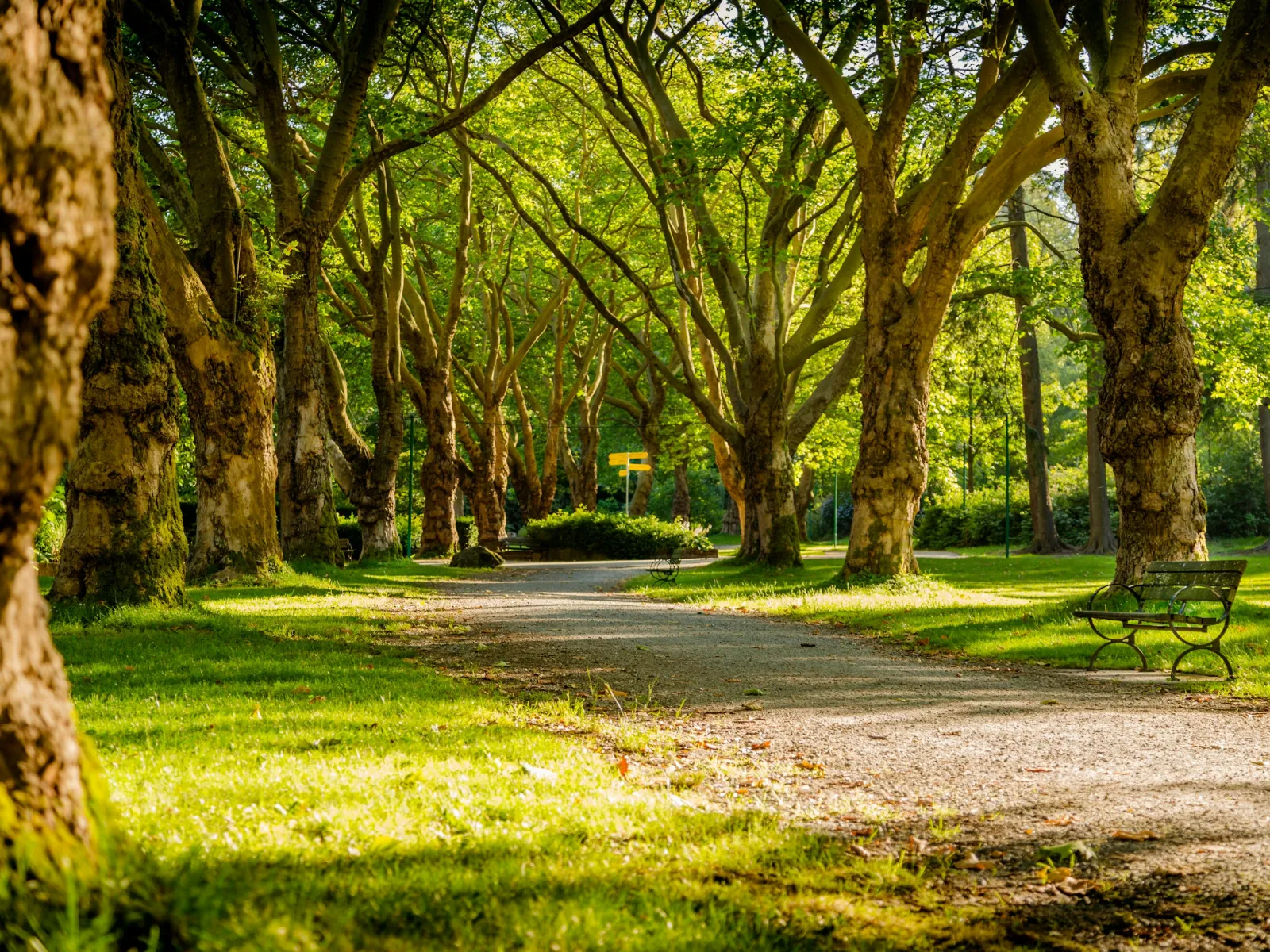 Pest Control, Residential and Commercial Pest Control in Warm Springs, Warm Springs Pest Services, Warm Springs Certified Pest Control Technicians, Warm Springs Exterminator, Warm Springs Pest Inspections