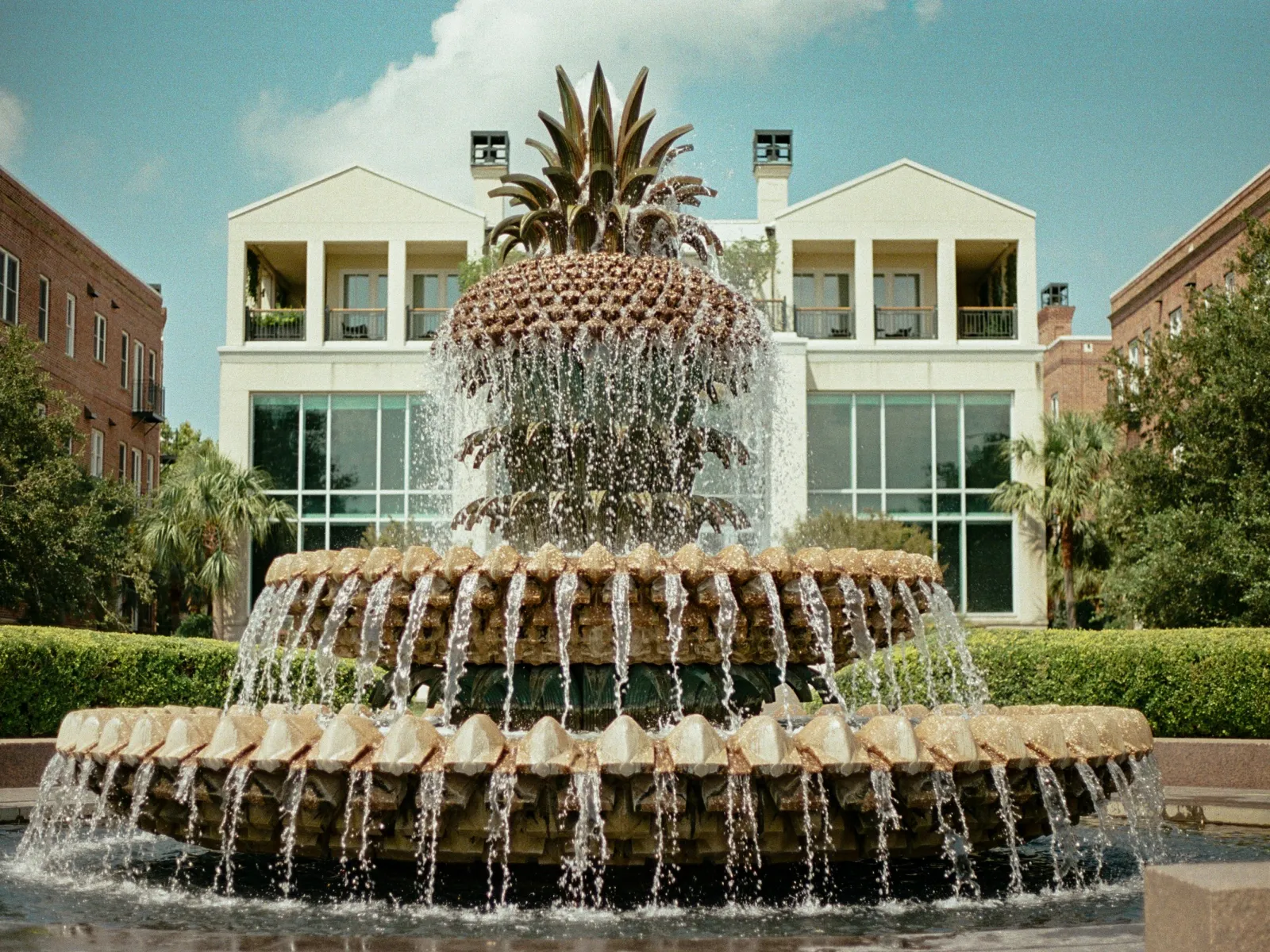 Pest Control, Residential and Commercial Pest Control in Hollywood, Hollywood Pest Services, Hollywood Certified Pest Control Technicians, Hollywood Exterminator, Hollywood Pest Inspections, Pest Control in 29449