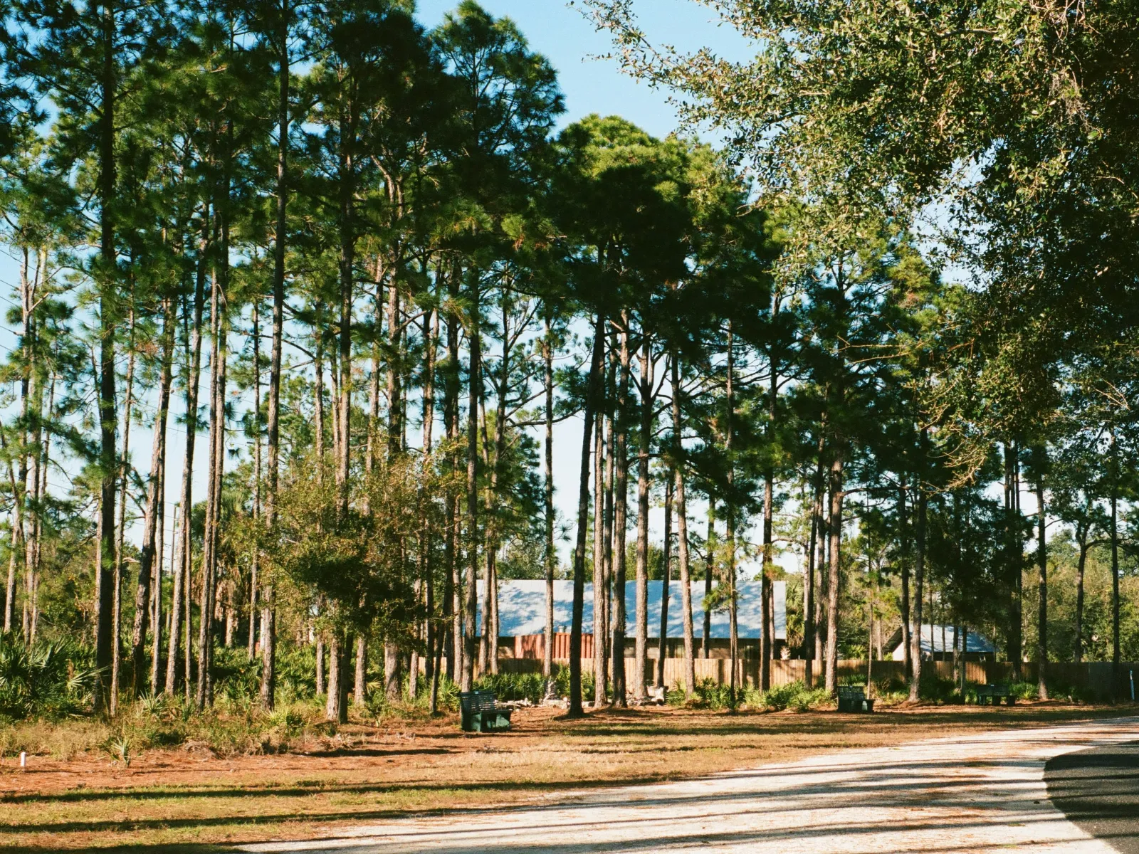 Pest Control, Residential and Commercial Pest Control in Lando, Lando Pest Services, Lando Certified Pest Control Technicians, Lando Exterminator, Lando Pest Inspections, Pest Control in 29724