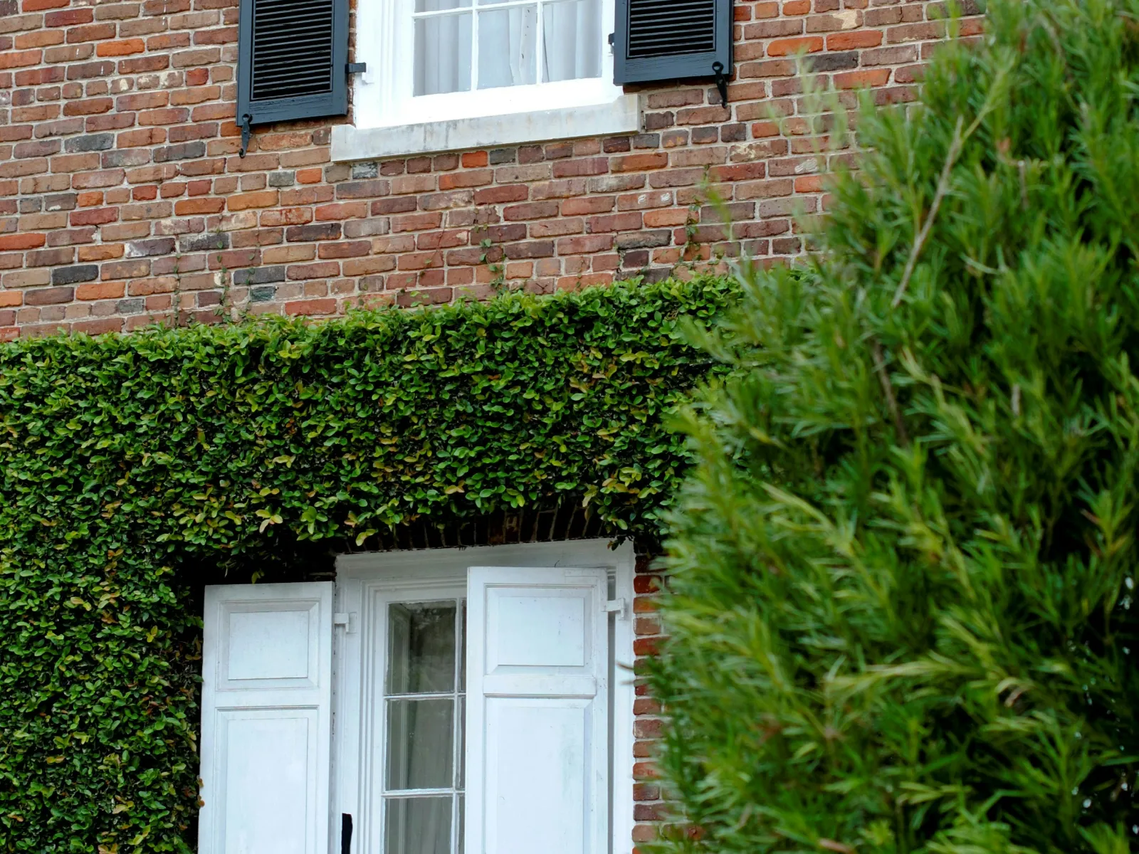 Pest Control, Residential and Commercial Pest Control in Mount Pleasant, Mount Pleasant Pest Services, Mount Pleasant Certified Pest Control Technicians, Mount Pleasant Exterminator, Mount Pleasant Pest Inspections, Pest Control in 29464, Pest Control in 29465, Pest Control in 29466