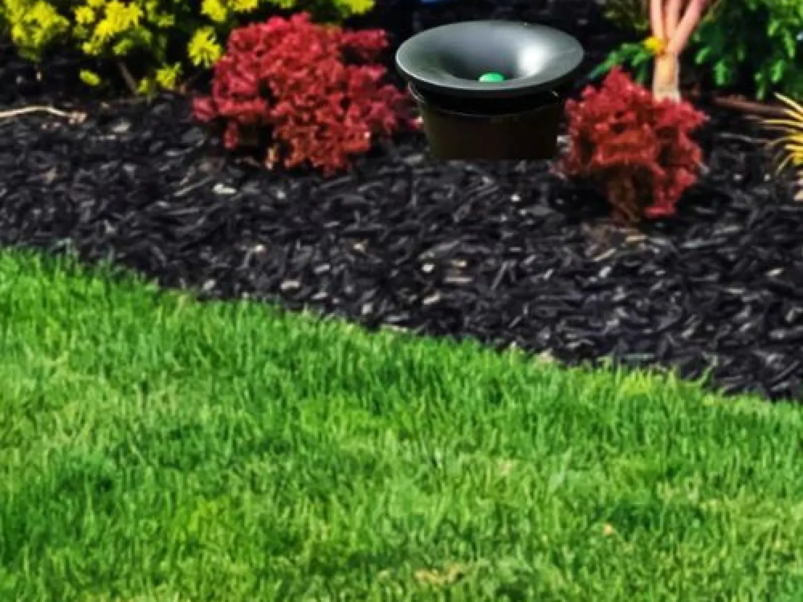 pestnation in2care mosquito system