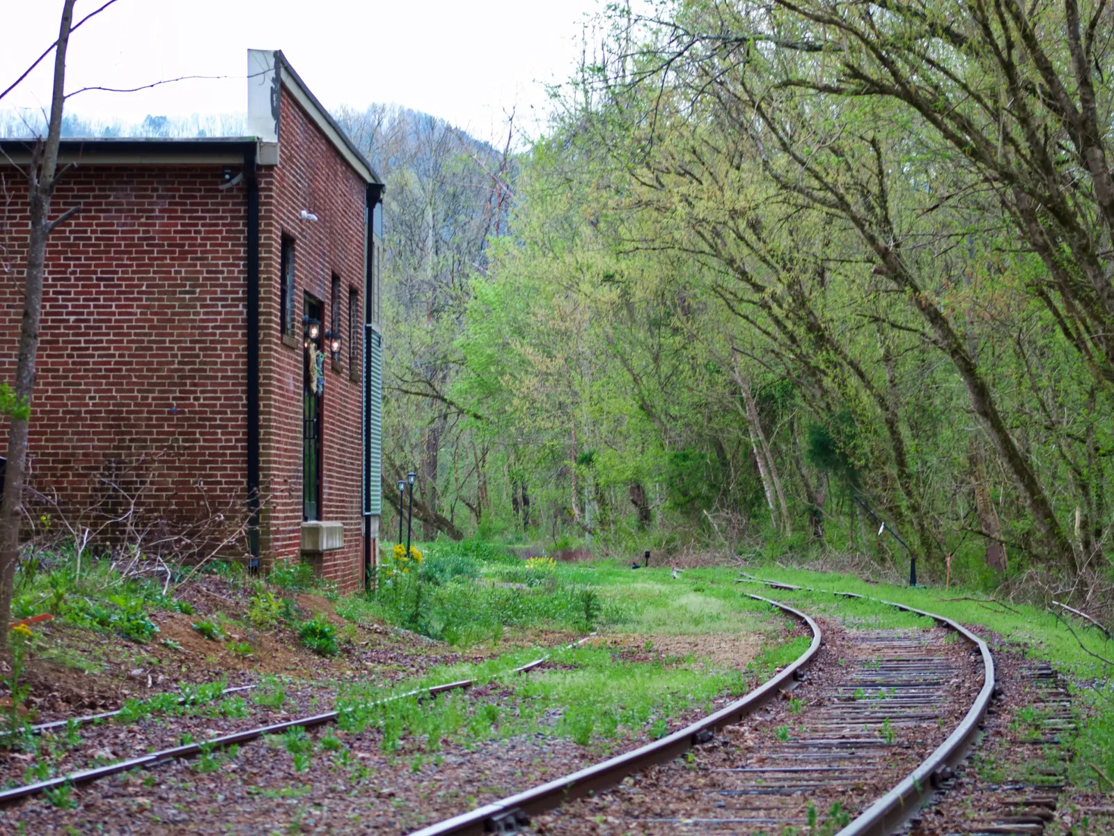 Pest Control, Residential and Commercial Pest Control in Union Grove, Union Grove Pest Services, Union Grove Certified Pest Control Technicians, Union Grove Exterminator, Union Grove Pest Inspections