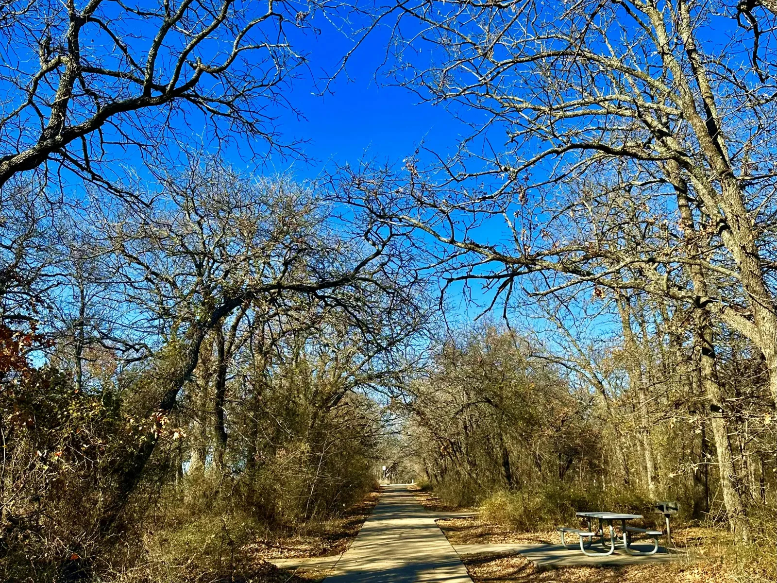 Pest Control, Residential and Commercial Pest Control in Denton, Denton Pest Services, Denton Certified Pest Control Technicians, Denton Exterminator, Denton Pest Inspections, Serving Denton ZIP Code 27239