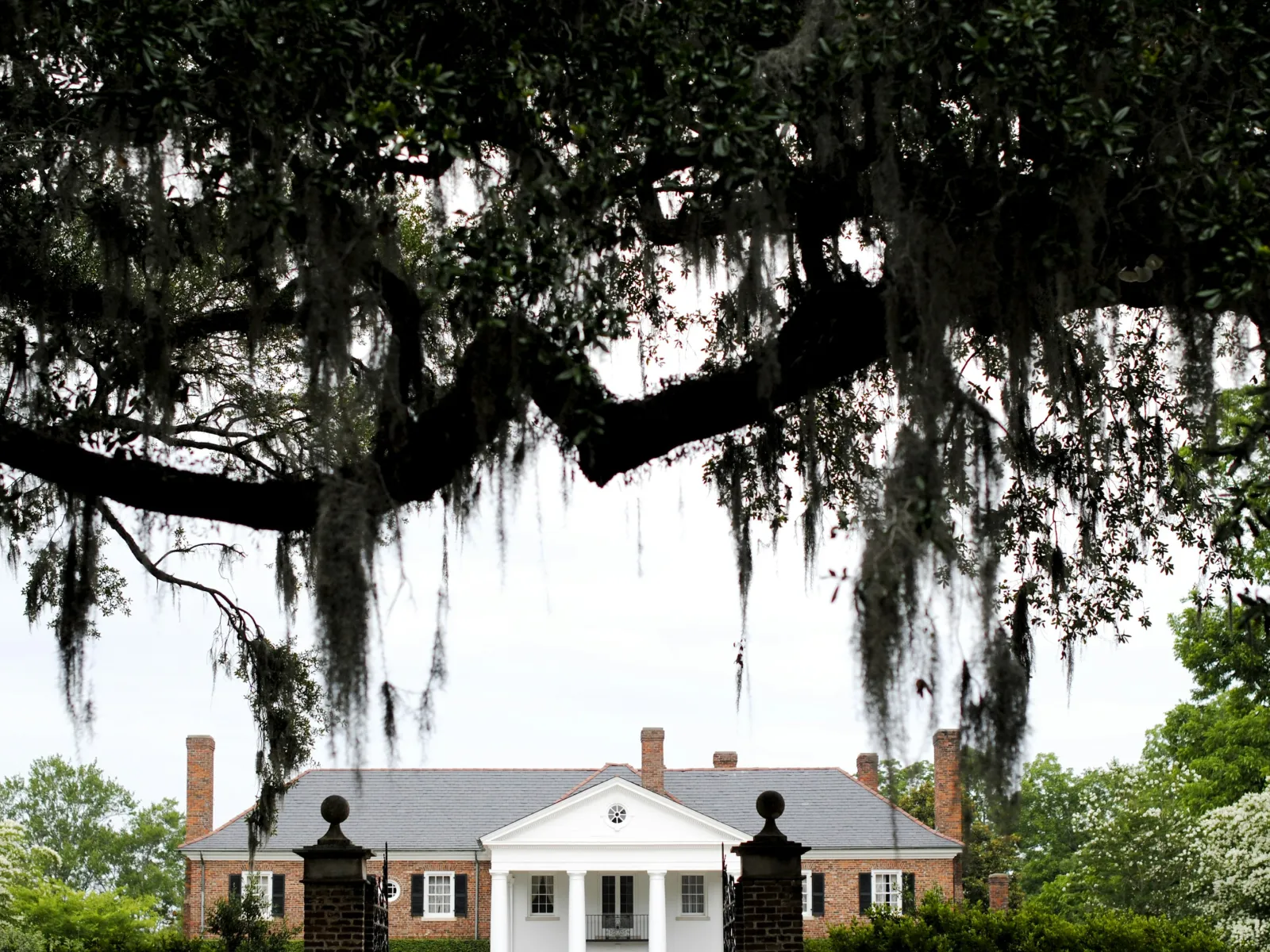 Pest Control, Residential and Commercial Pest Control in Yonges Island, Yonges Island Pest Services, Yonges Island Certified Pest Control Technicians, Yonges Island Exterminator, Yonges Island Pest Inspections, Pest Control in 29449