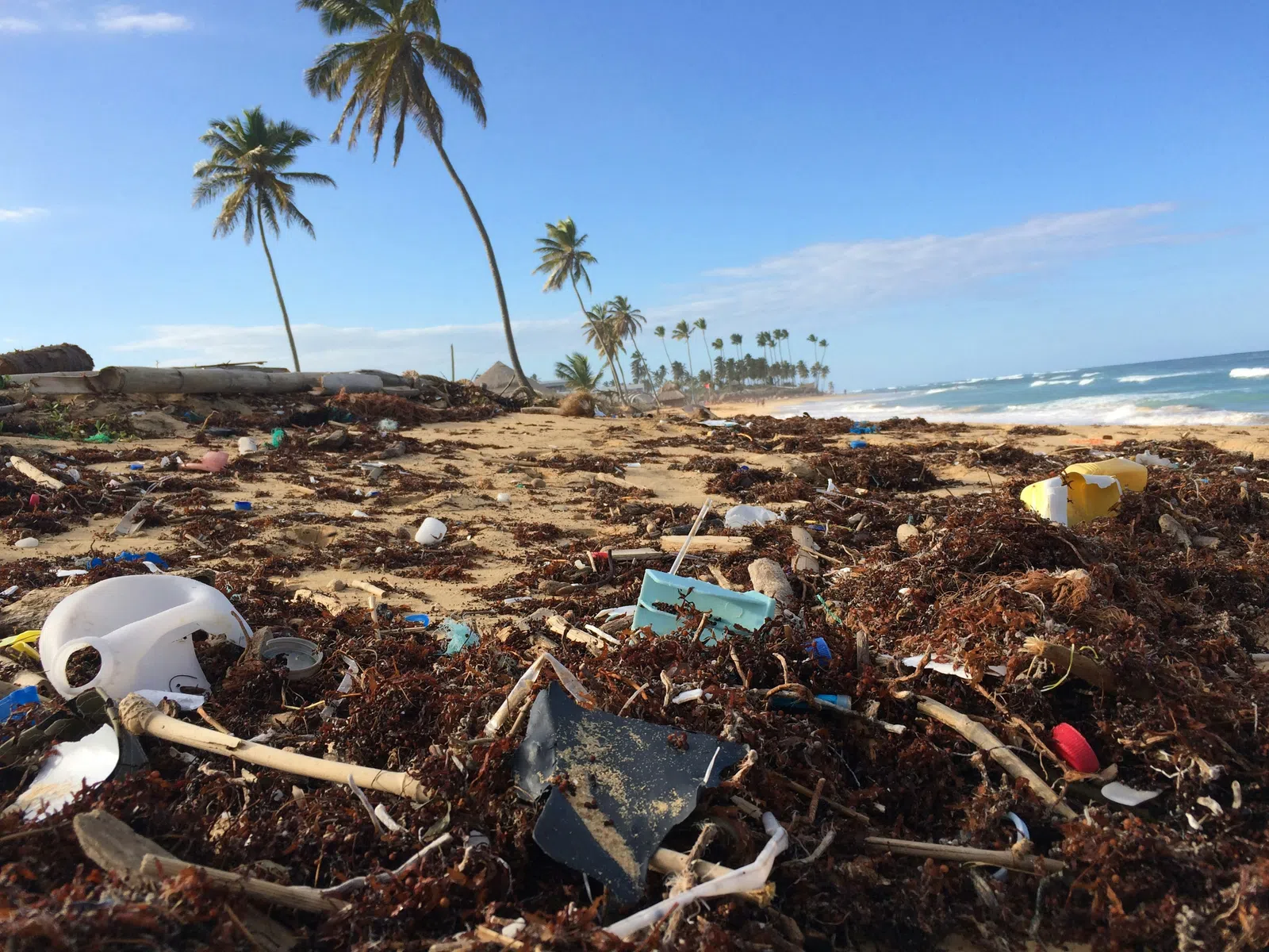 Trash and debris scattered along a tropical beach with palm trees and ocean waves under a clear blue sky.