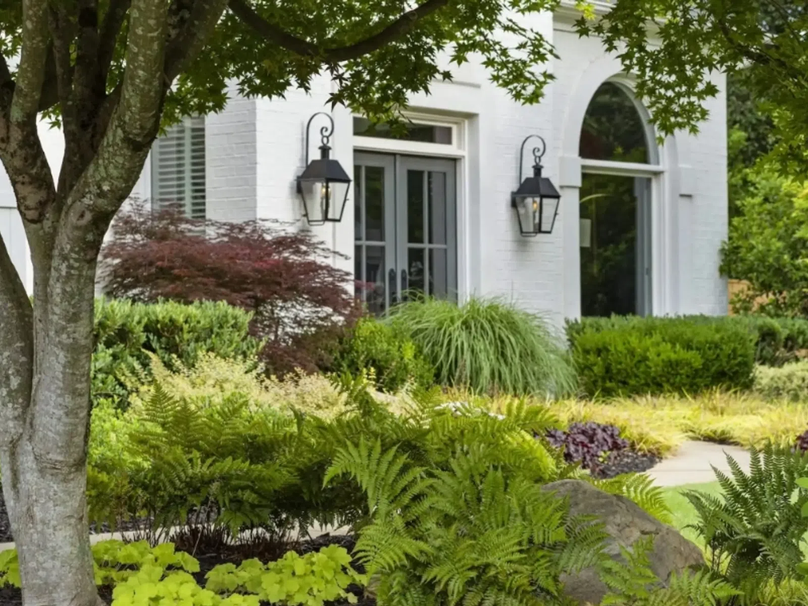Front yard garden with lush greenery, ferns, shrubs, and a tree in front of a white house with large windows.