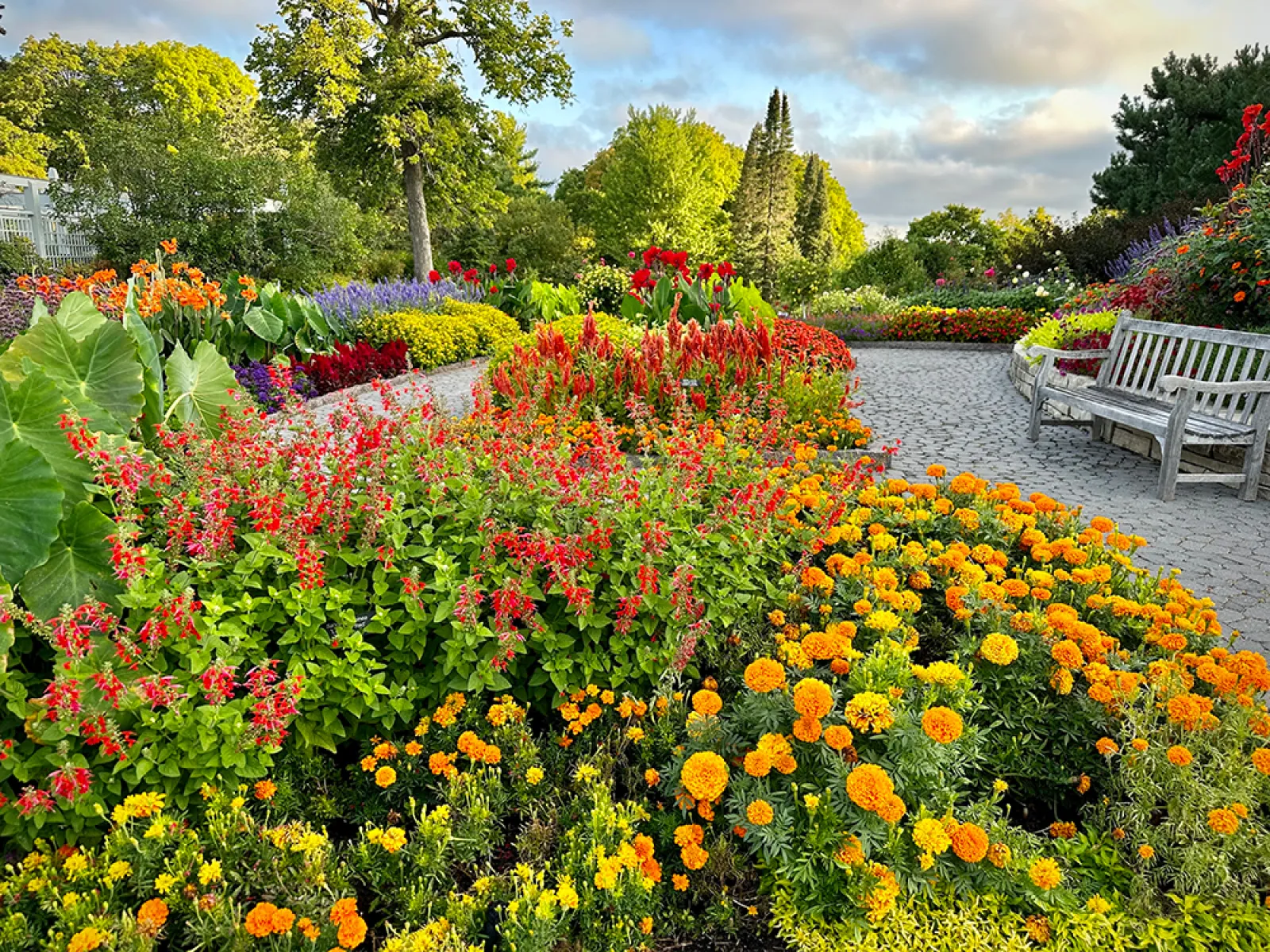 Colorful flower garden with red, orange, and yellow blooms along a curving stone path and wooden bench.