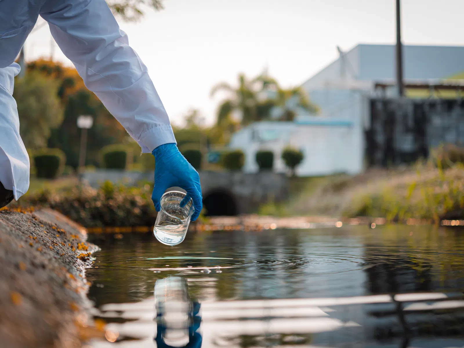 Scientist wearing blue gloves collects water sample from a river for environmental testing outdoors.