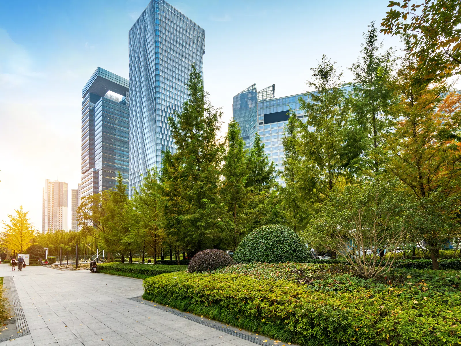 Modern cityscape with tall glass buildings and lush green trees alongside a paved walkway at sunset.