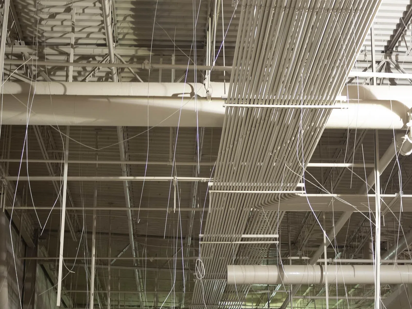 Ceiling view of industrial wiring, pipes, and metal framework inside a large warehouse or factory space.